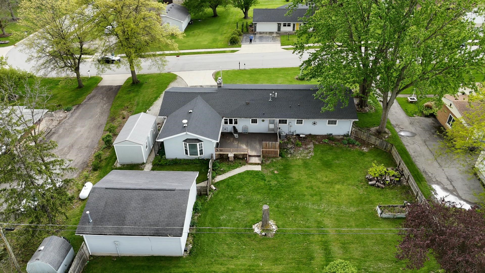 Expansive green lawn with a large, mature tree providing natural shade