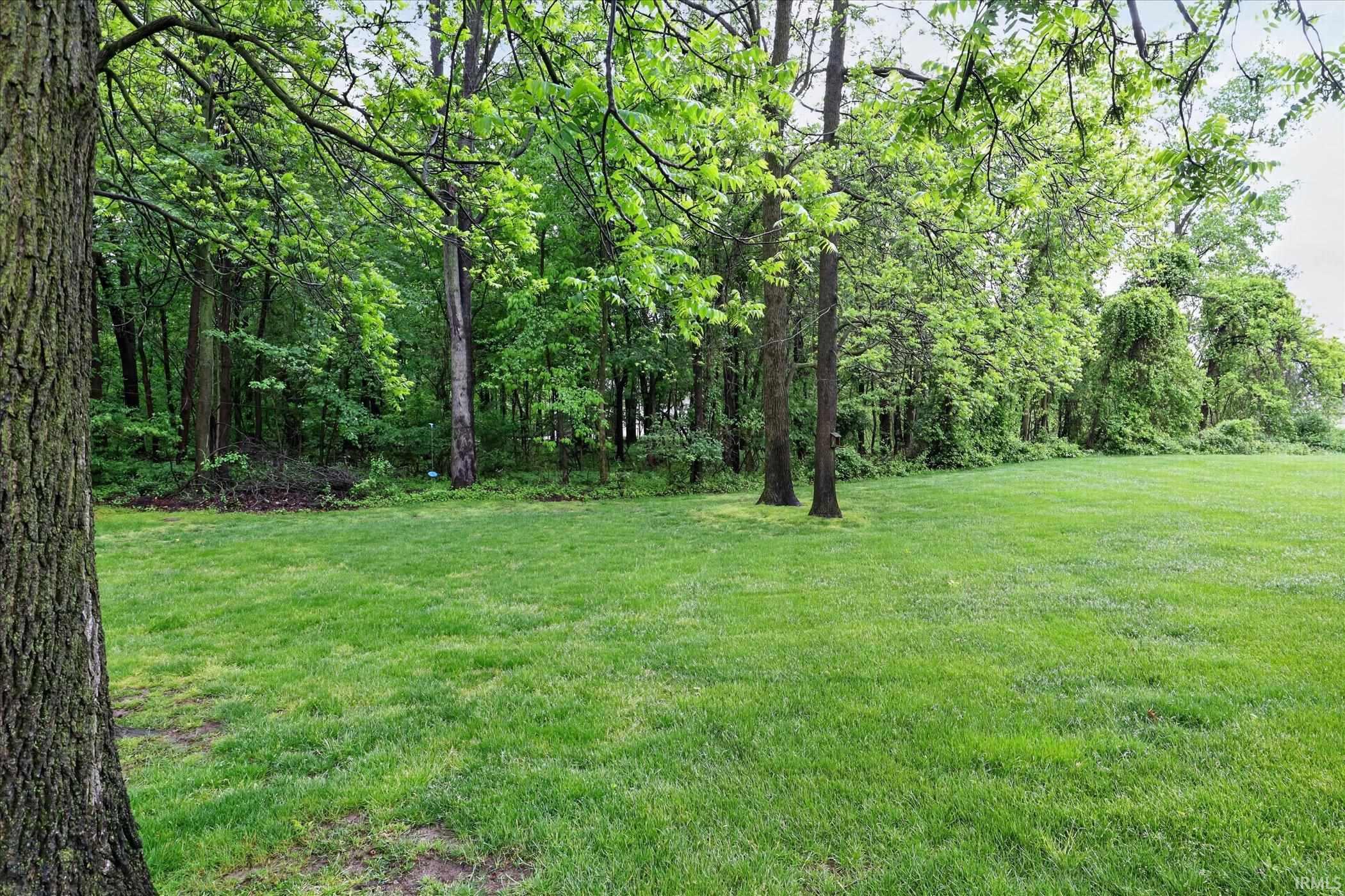 Expansive lawn area surrounded by mature trees, offering a verdant setting