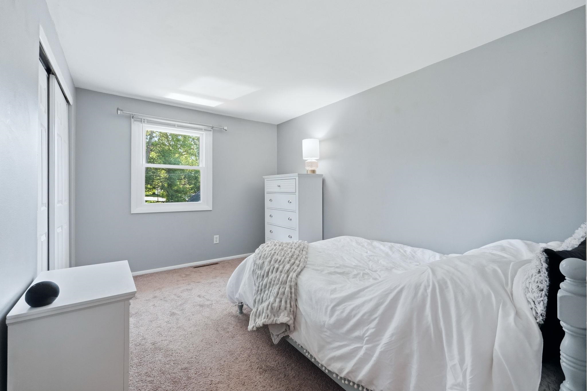 Carpeted room featuring a double-pane window, light gray wall paint, white trim, and a white bi-fold closet