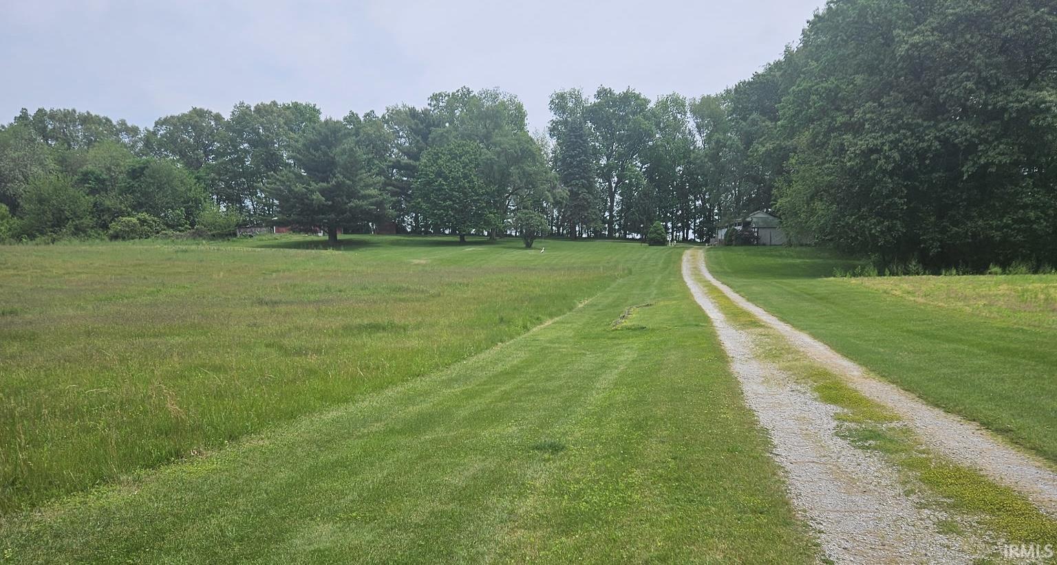 Gravel driveway extending through a grassy expanse, bordered by mature trees