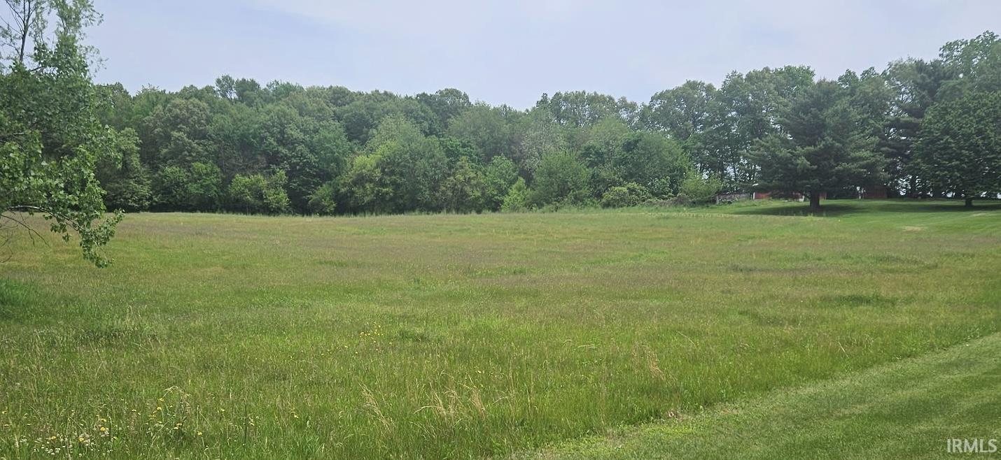 Expansive green space featuring natural grass and mature trees bordering the perimeter