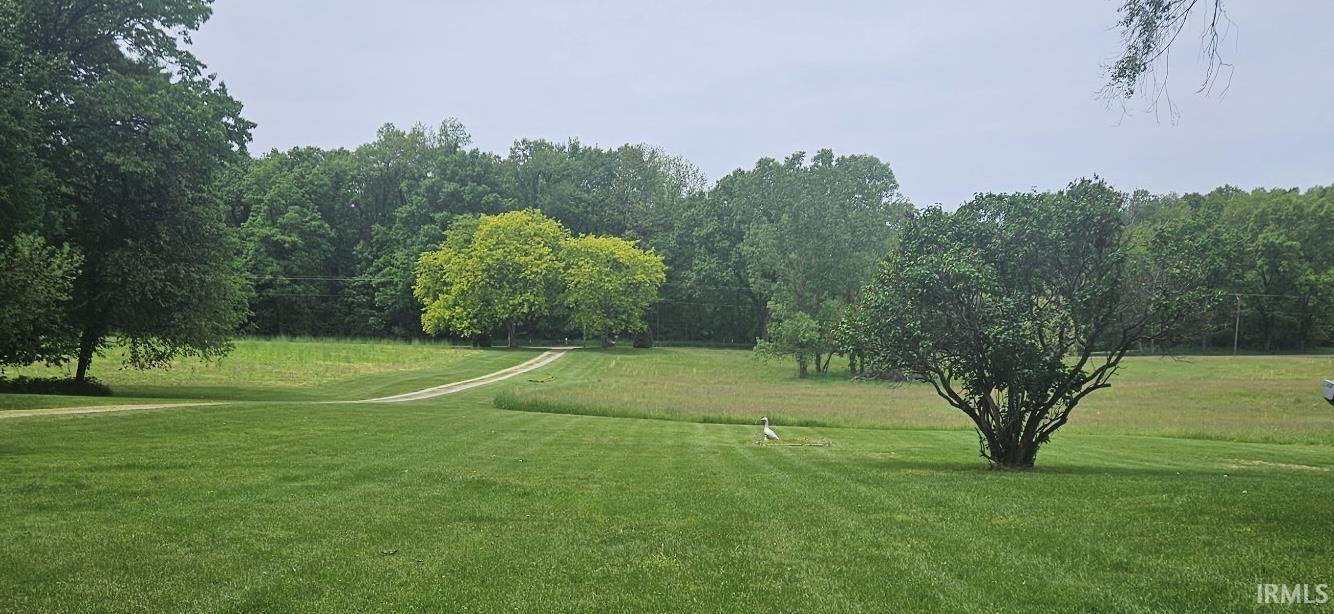 Expansive green lawn with a winding gravel drive