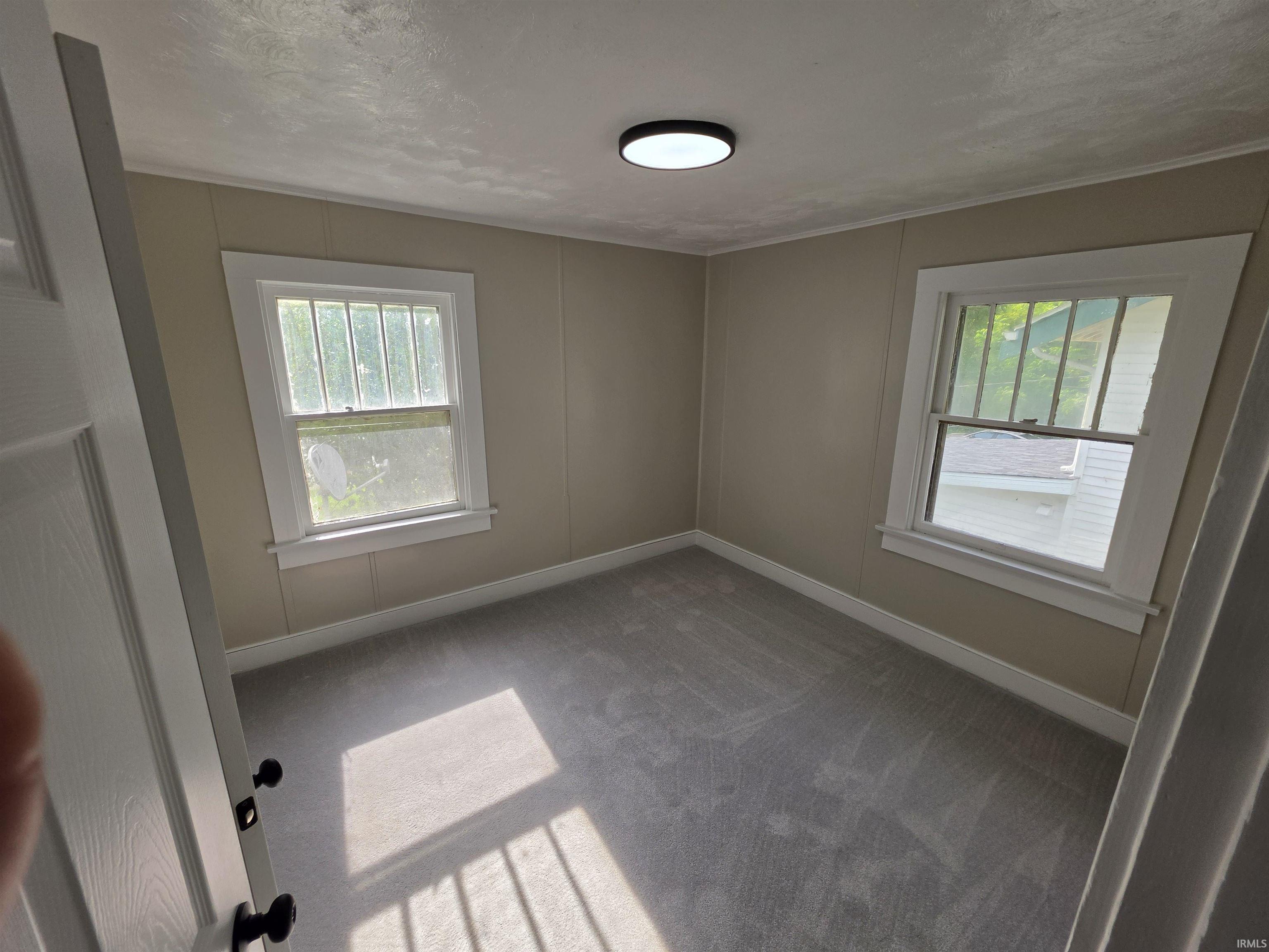 Room featuring two windows with white trim, light gray wall paneling, gray carpeting, and a flush-mount ceiling light fixture