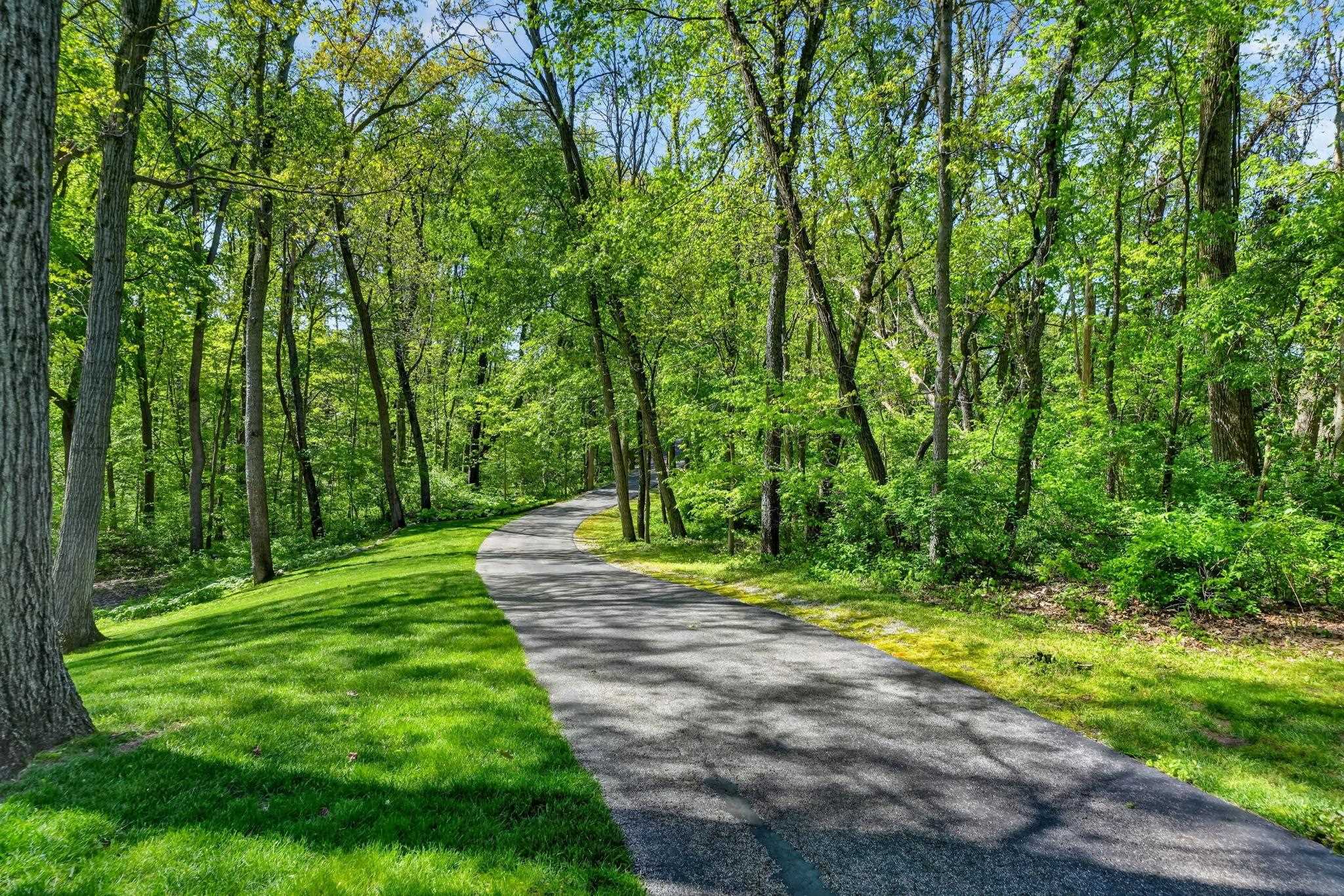 Curved asphalt driveway surrounded by mature deciduous trees and lush green lawn