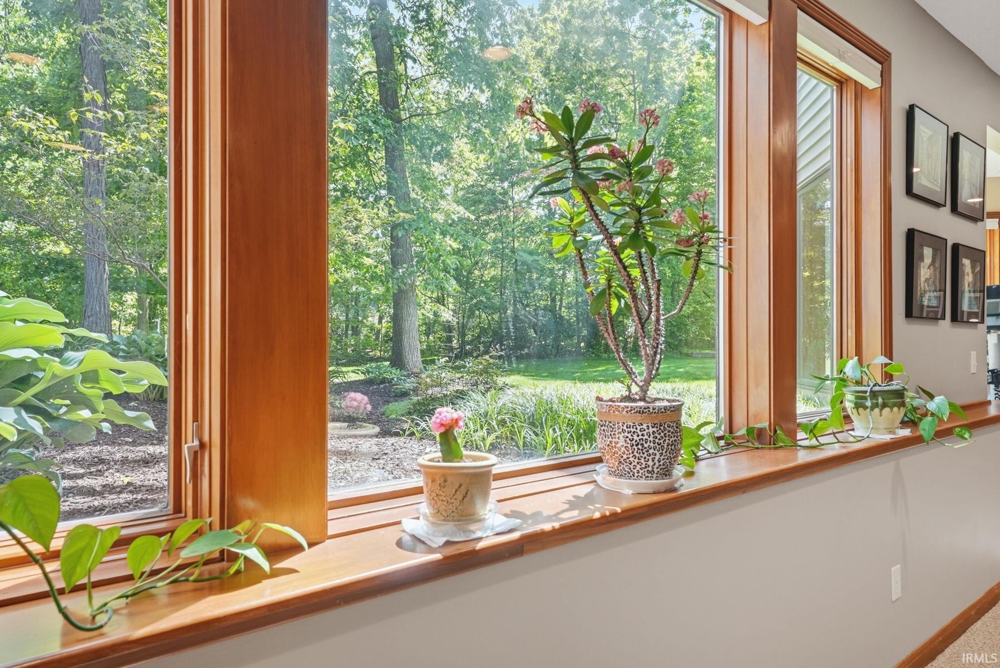 Wood-framed picture windows with a deep sill