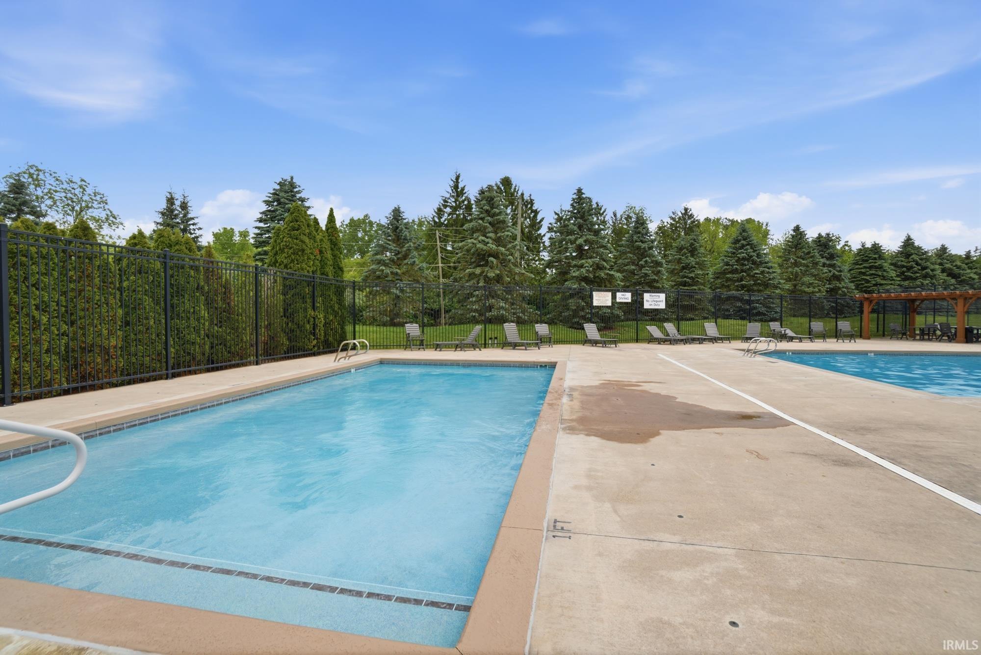 Outdoor swimming pool with concrete decking, surrounded by a black metal fence and mature evergreen landscaping