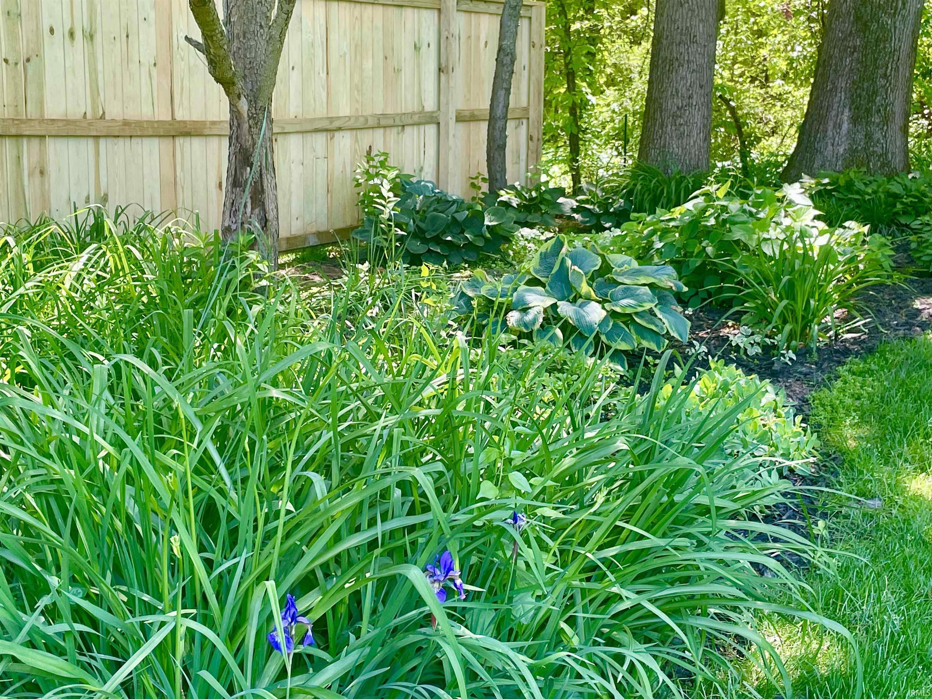 Property Photo 35