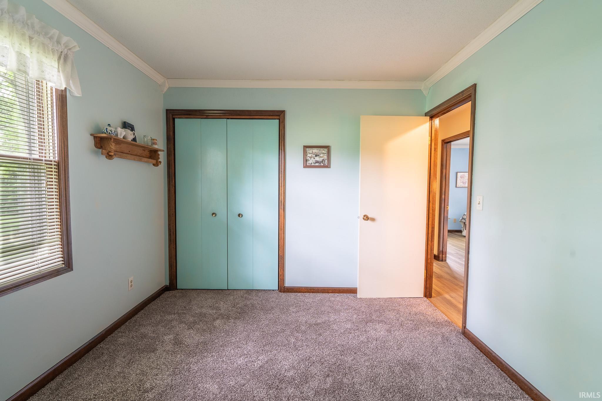 Carpeted room featuring a built-in closet with double doors, a window with blinds, light blue painted walls, and wood trim