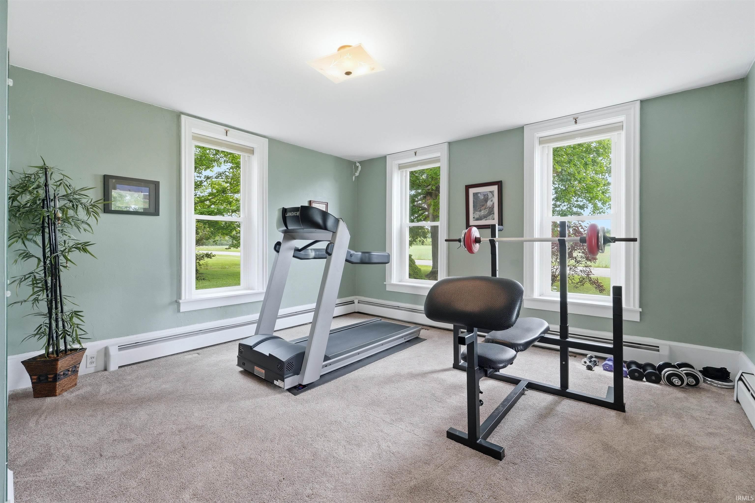 Spacious room featuring carpeted flooring, light green walls, multiple windows with white trim, and a flush-mount ceiling light