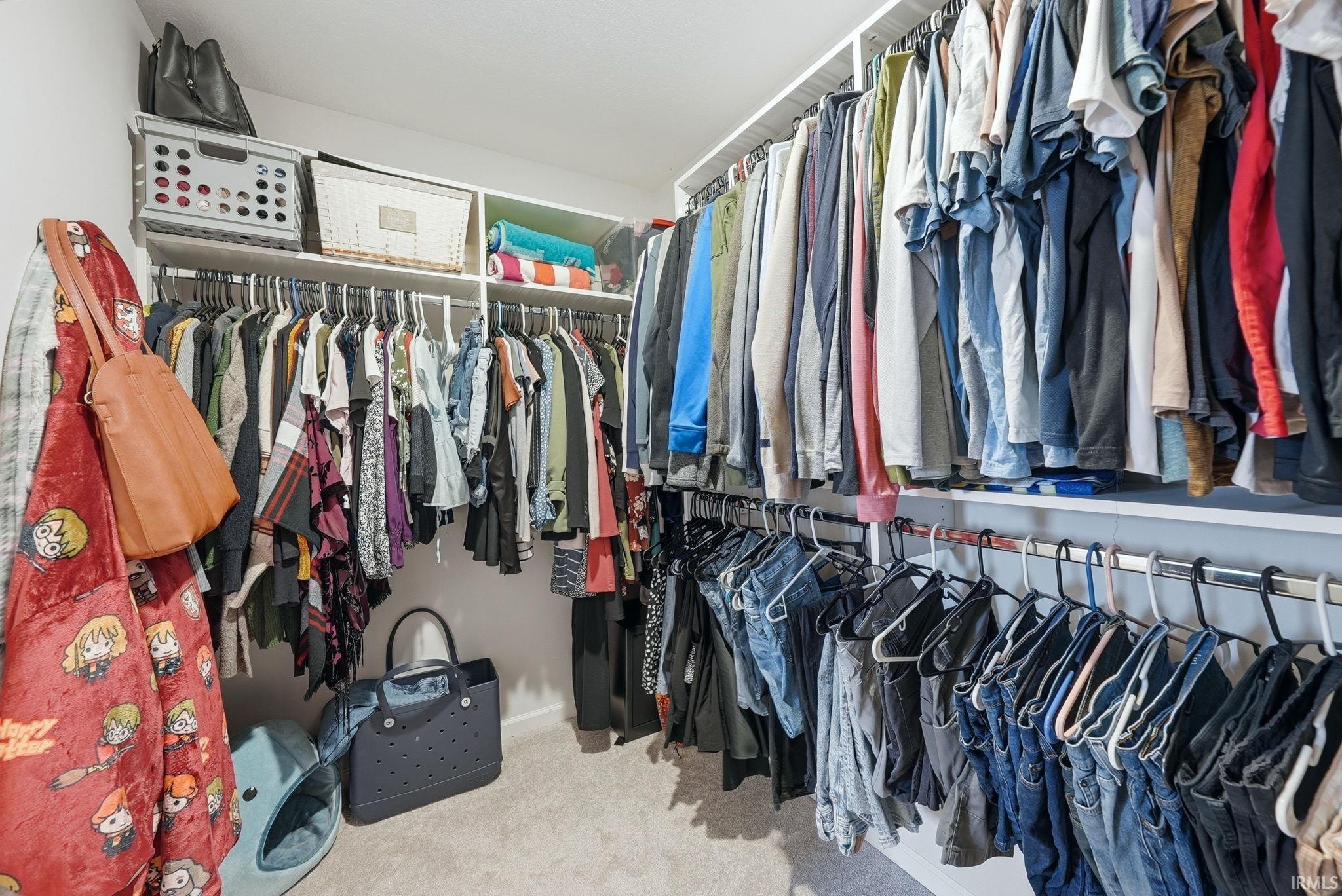 Walk-in closet featuring white shelving, multiple hanging rods, and carpet flooring
