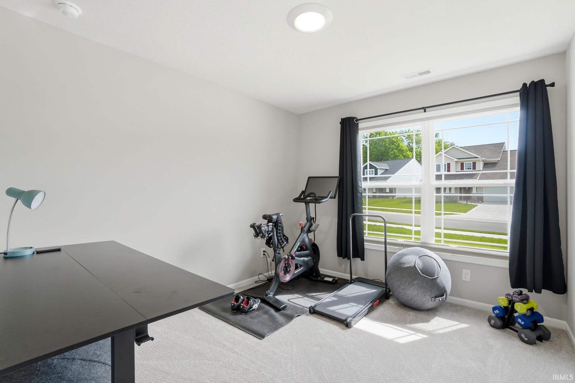 Bright room with a large window, light-colored carpet flooring, and a flush-mount ceiling light fixture
