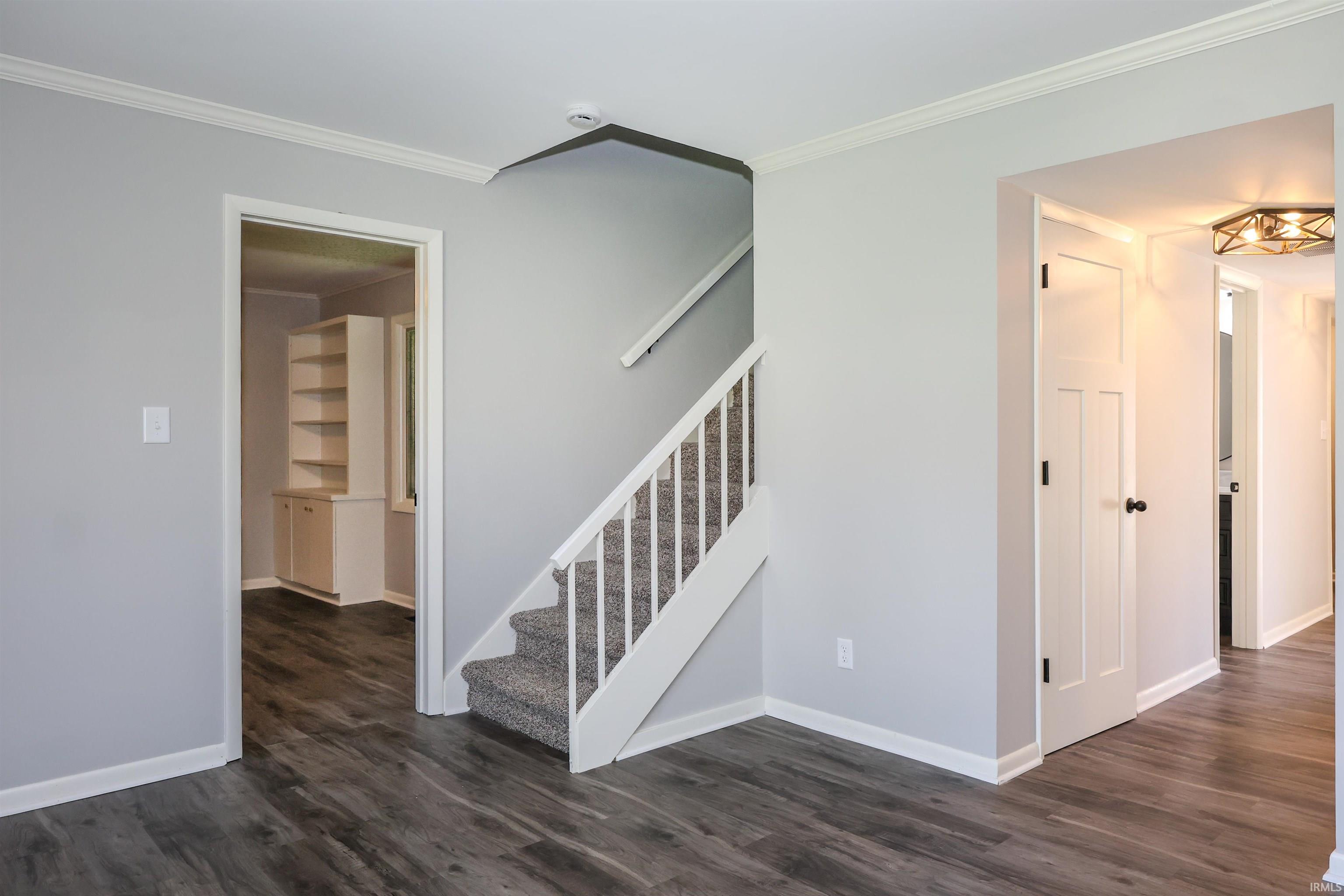 Interior staircase featuring white risers and carpeted treads