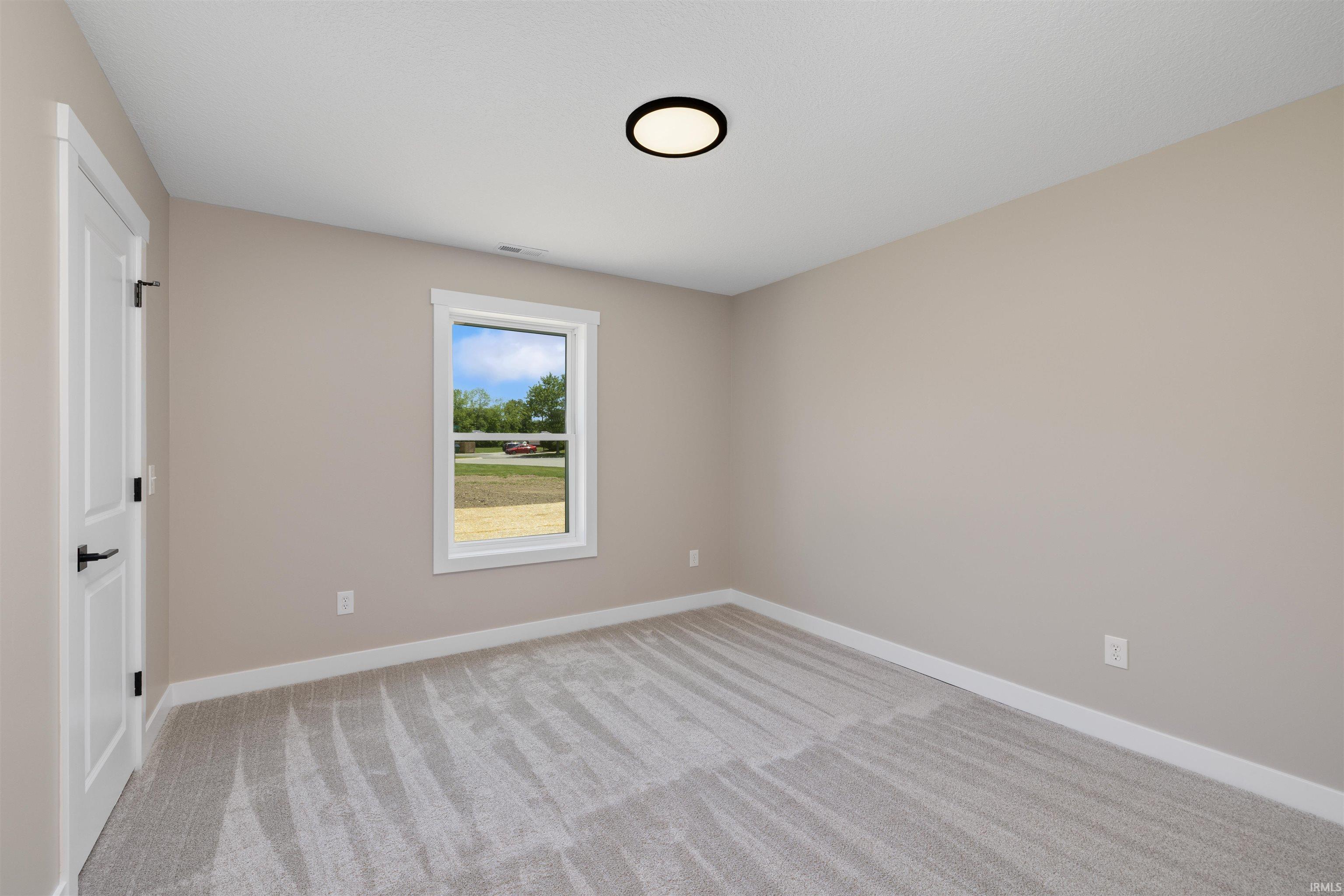 Neutral-toned room featuring light gray carpet, white baseboards, and a white framed window with exterior scenery