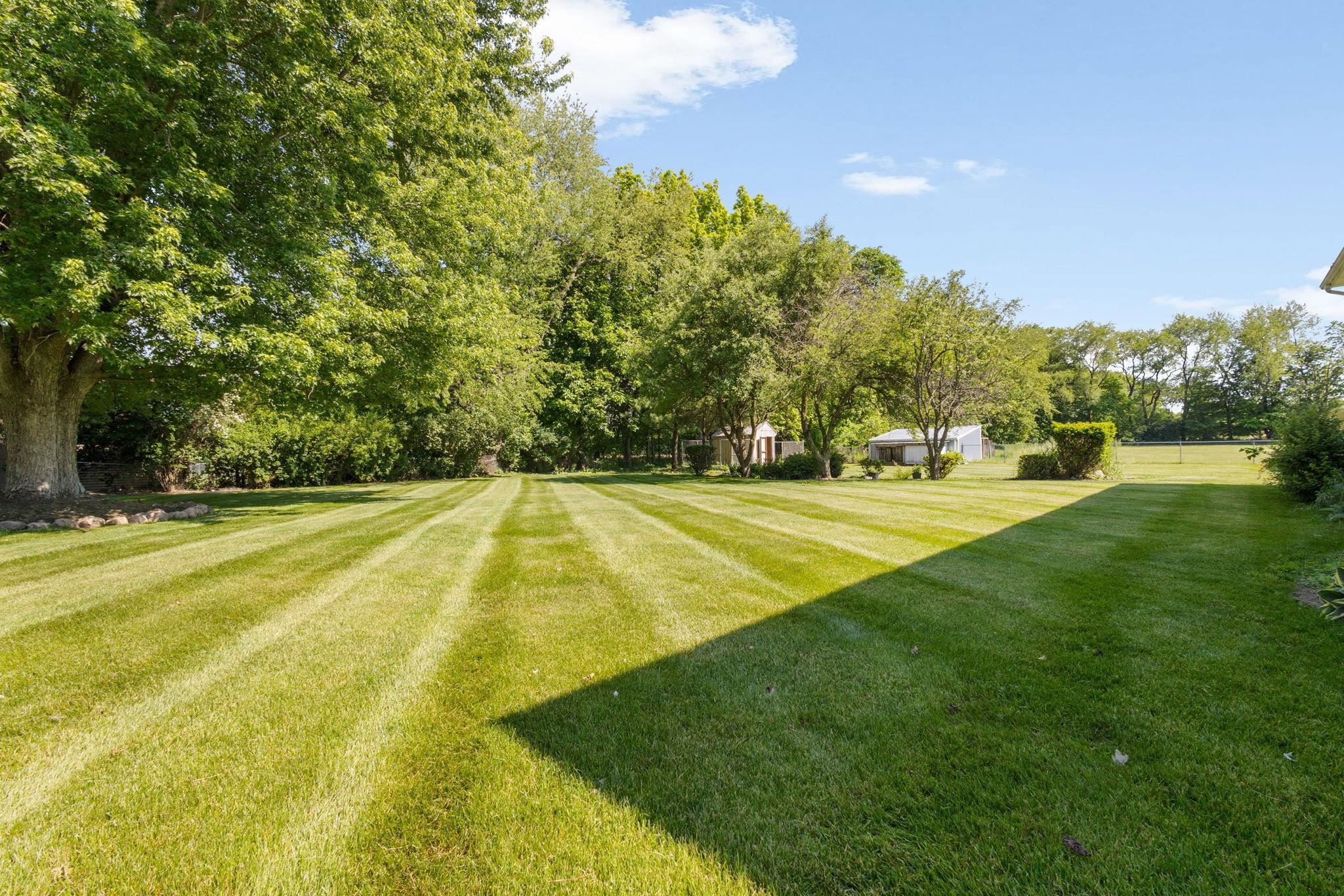 Expansive lawn featuring striped mowing patterns