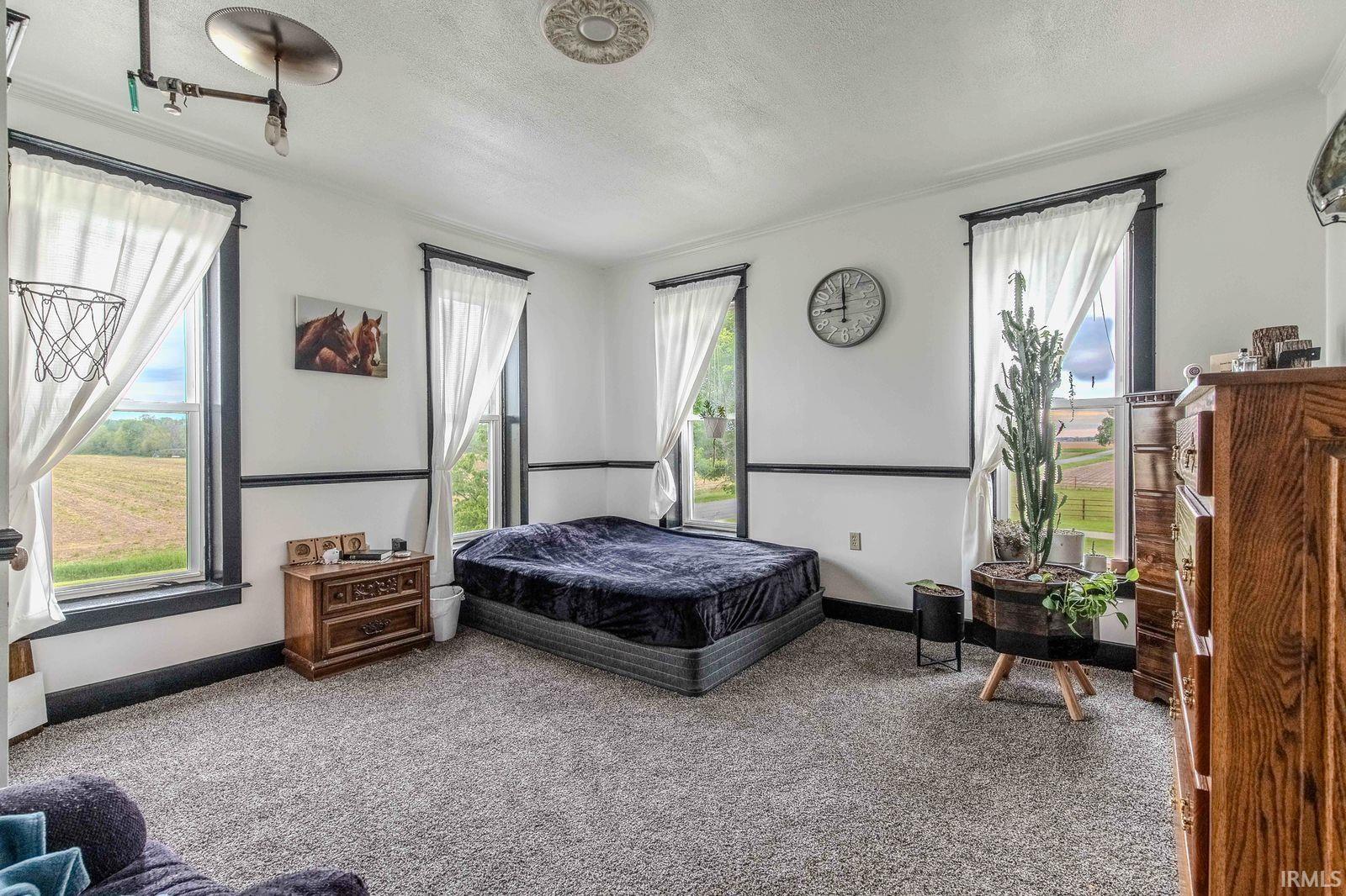 Spacious room with plush carpeting, white walls, and dark trim