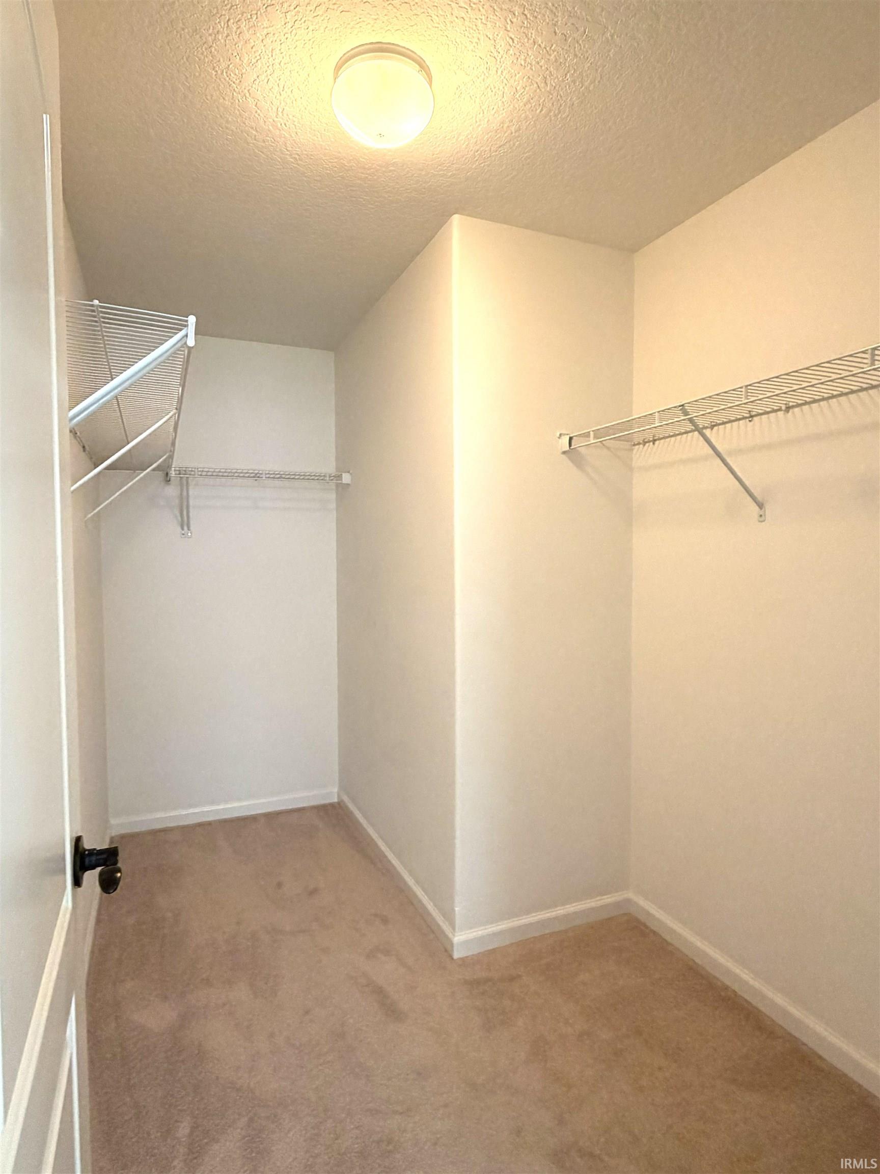Walk-in closet featuring neutral carpeting, white walls, and built-in wire shelving