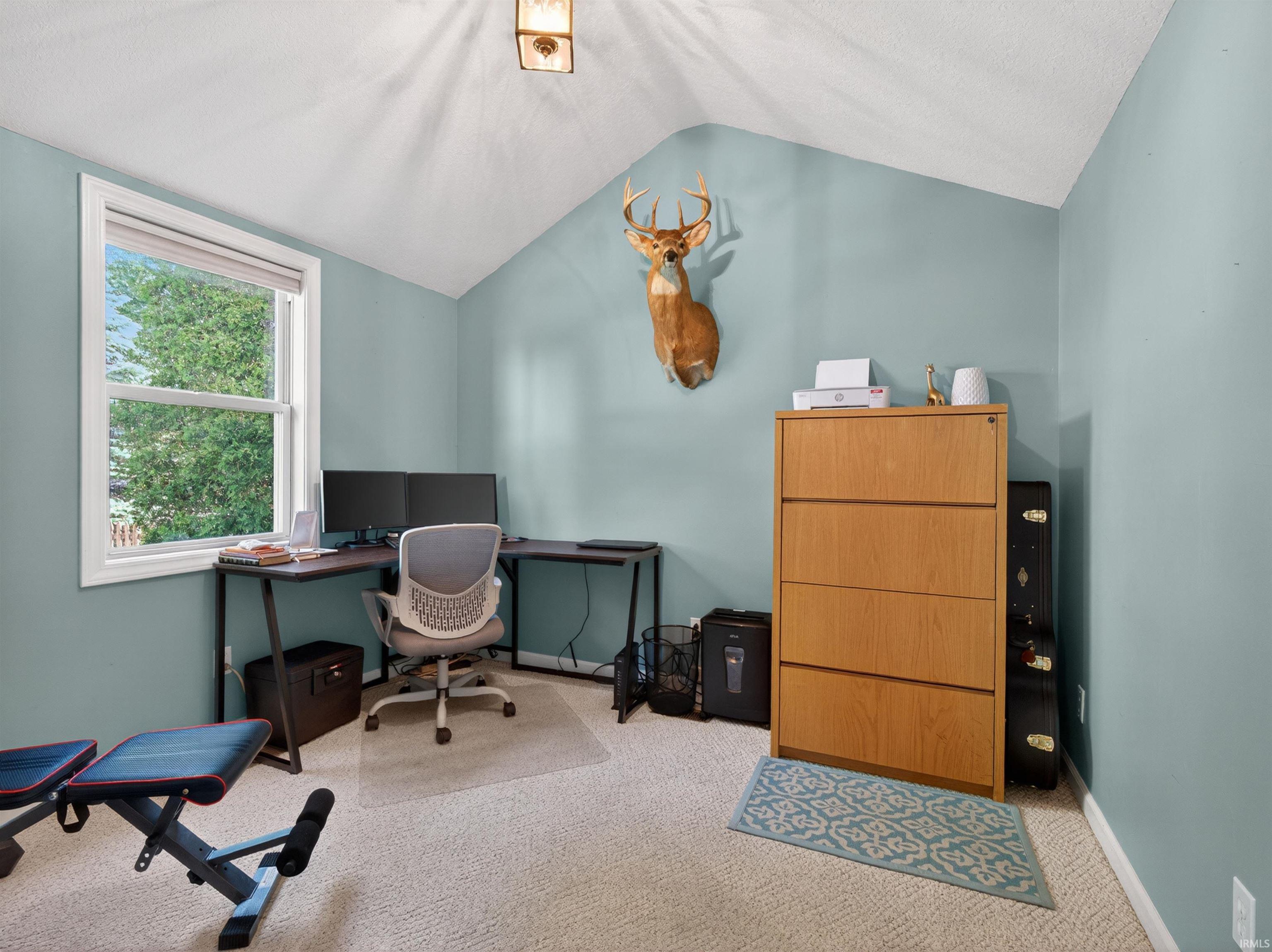 Carpeted room featuring a white-framed window, vaulted ceiling, and light blue wall color