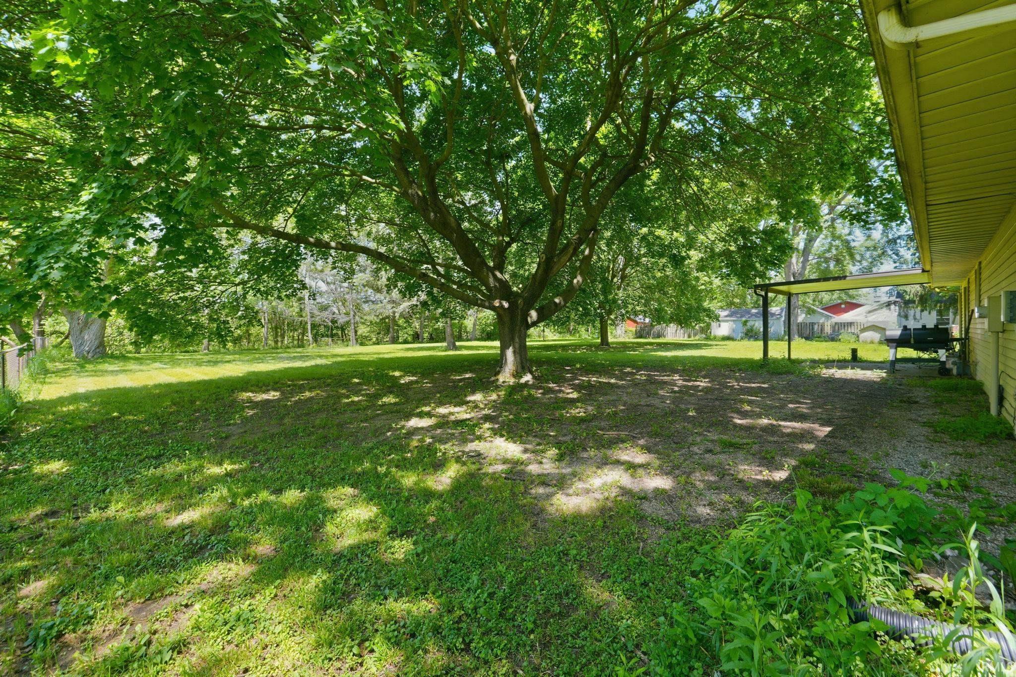 Expansive rear yard featuring a large mature tree, a covered patio area, and a light-colored siding exterior