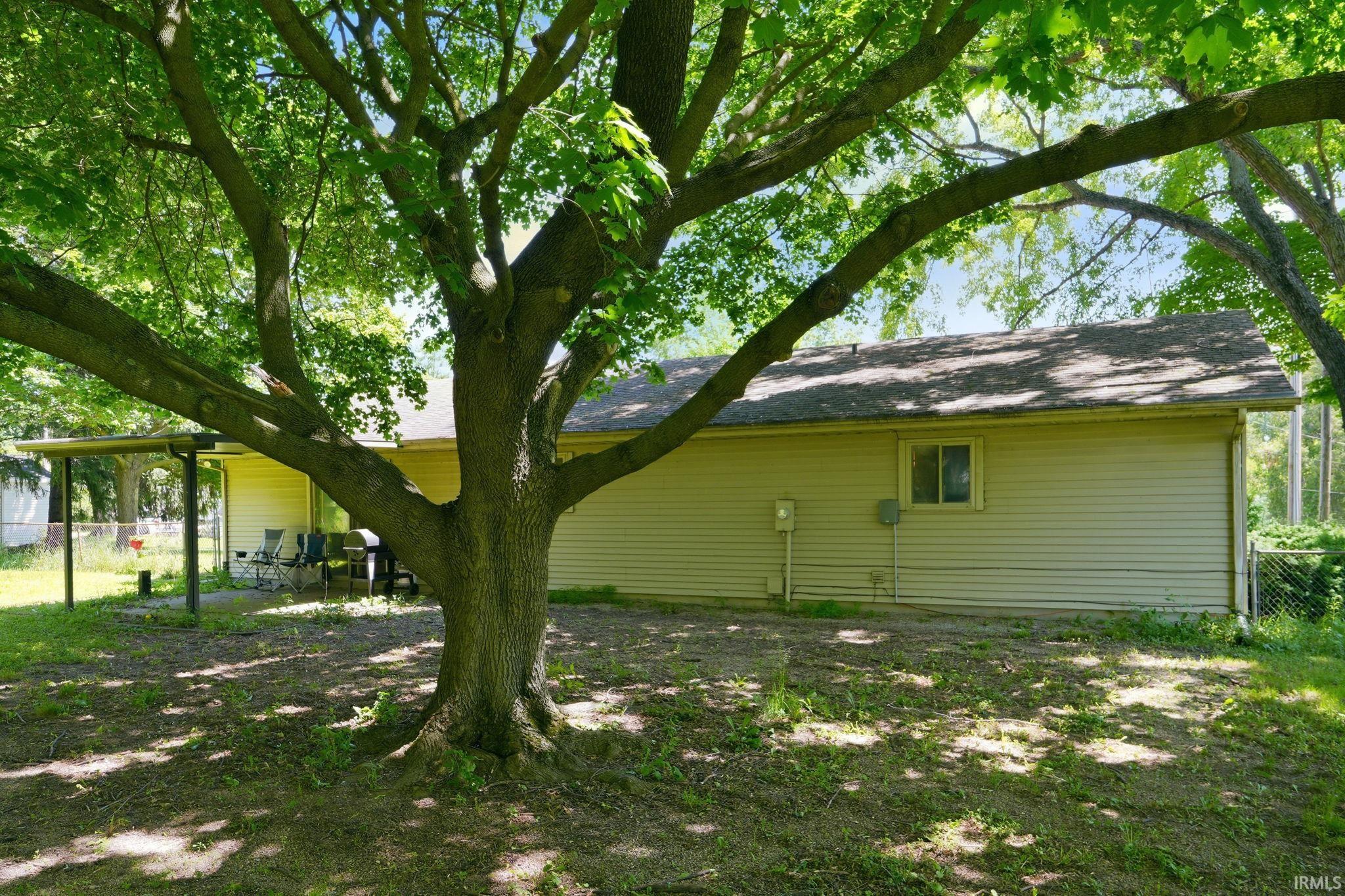 Mature tree providing natural shade