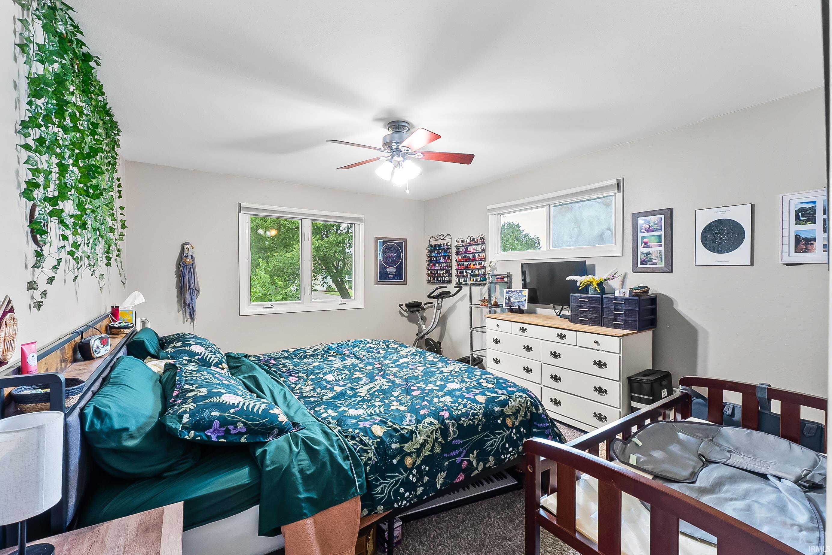 Spacious bedroom featuring light-colored walls, a ceiling fan with integrated lighting, and two windows providing natural light