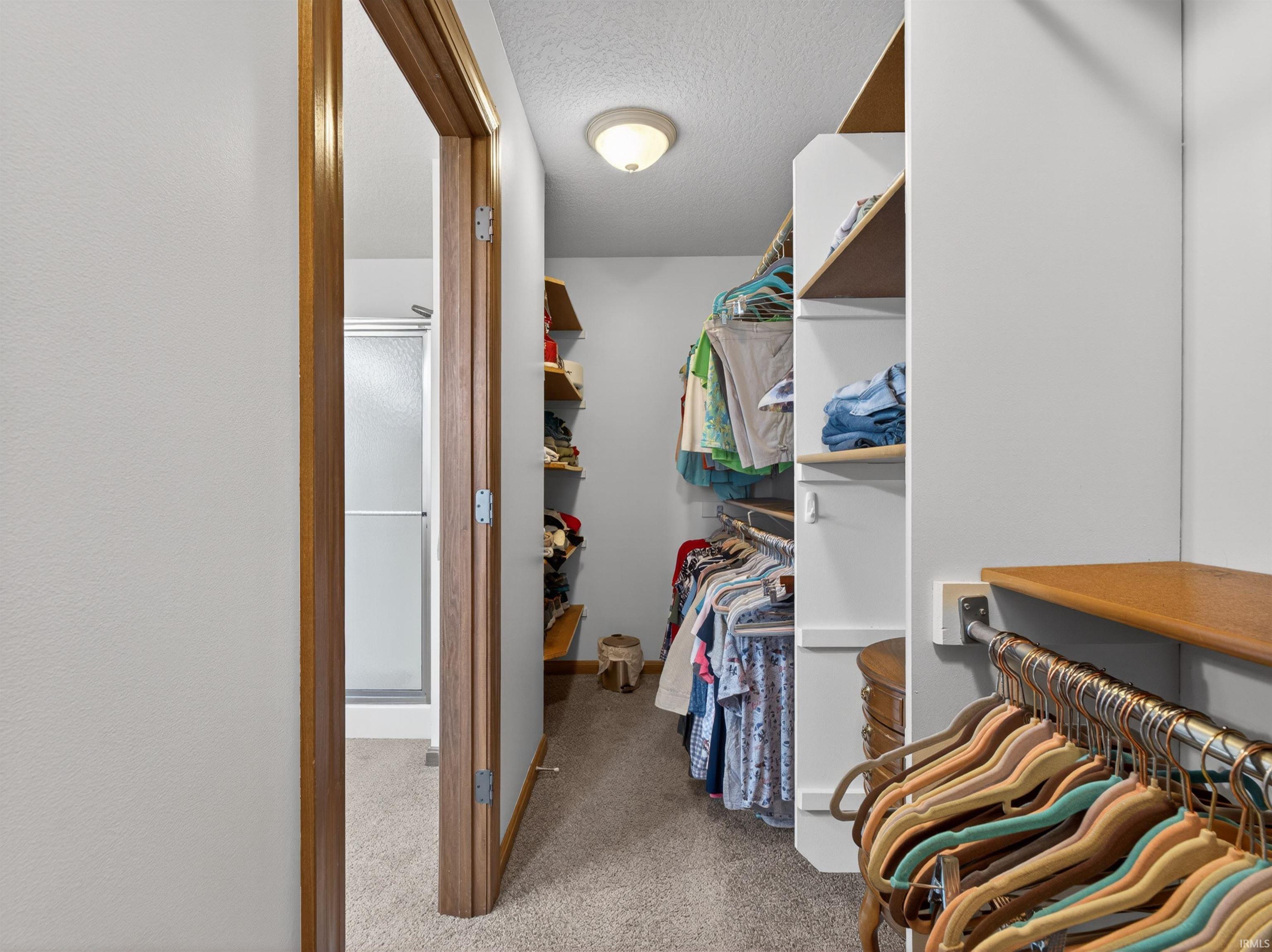 Walk-in closet featuring carpet flooring, built-in shelving, and hanging rods large