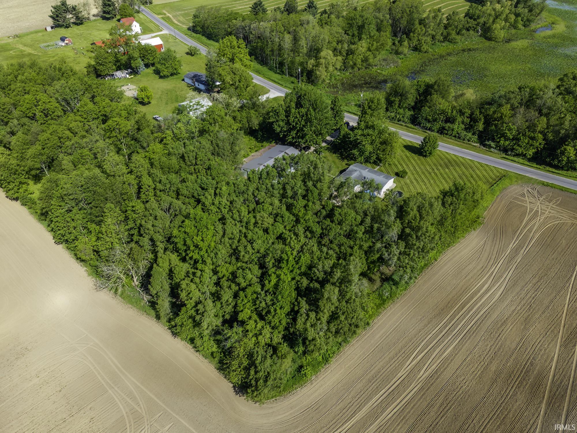 Expansive wooded acreage bordering cultivated fields