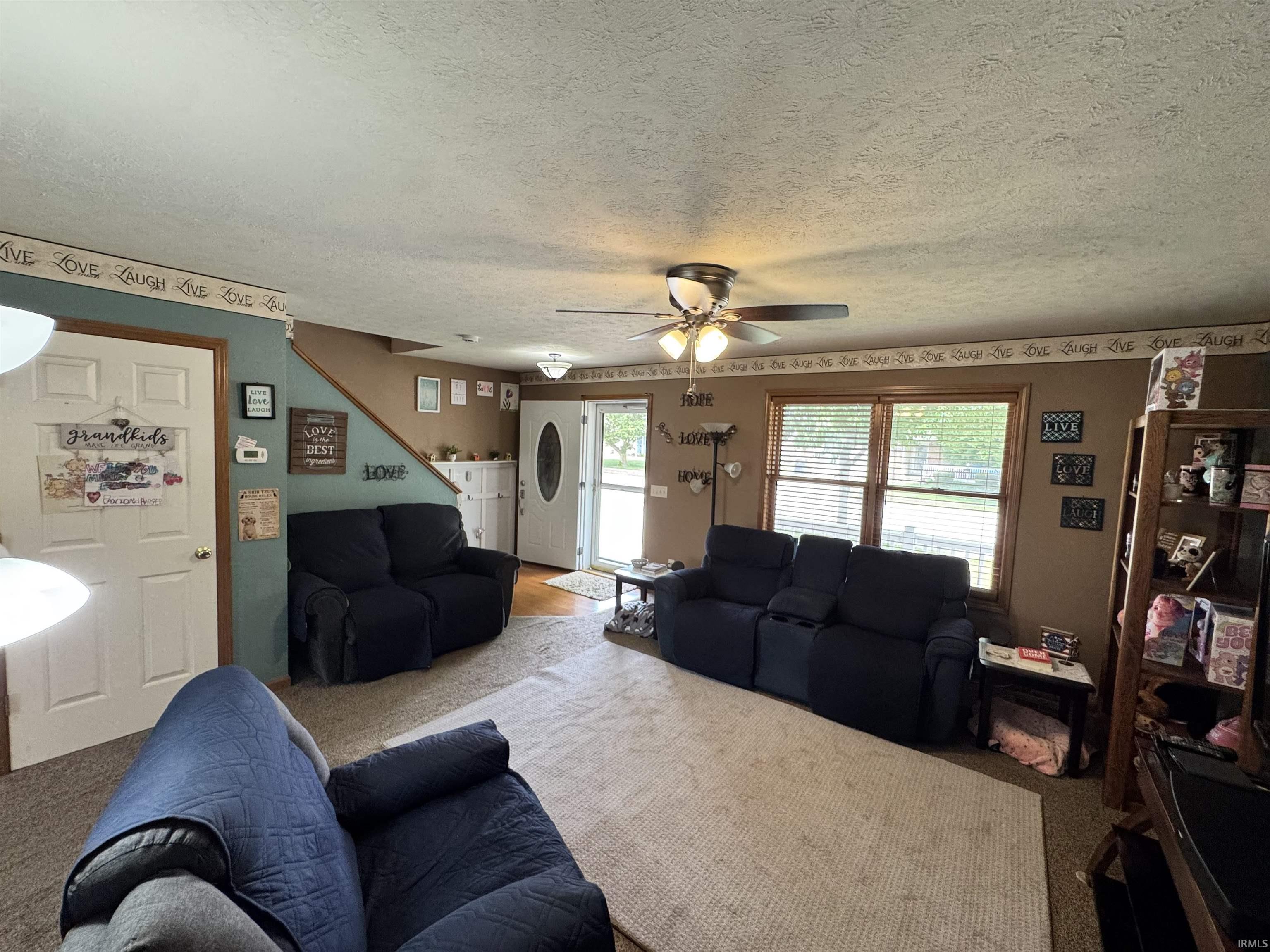 Carpeted living space with a ceiling fan, multiple windows, and a front entry door with an oval glass insert