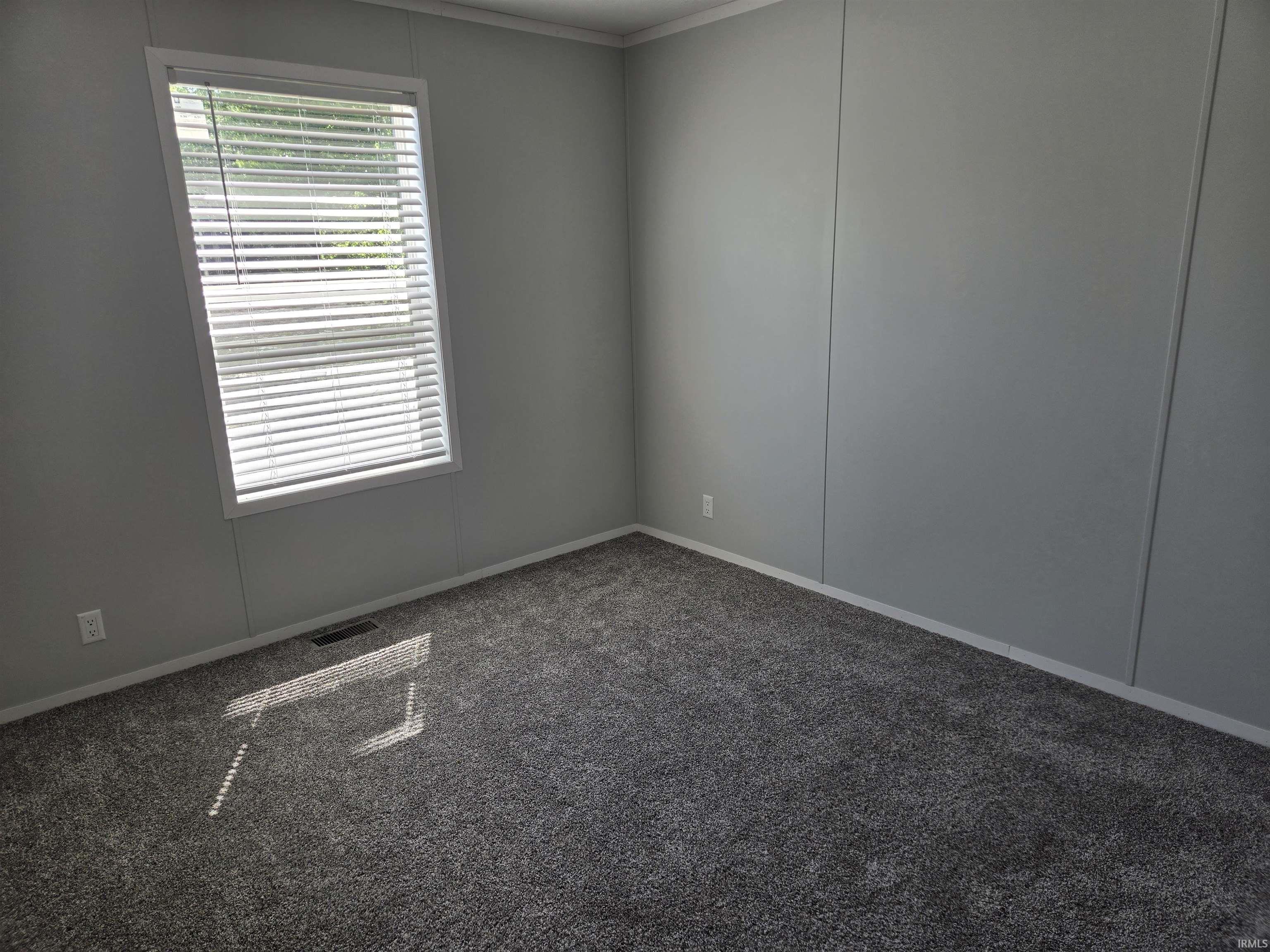 Room featuring gray wall paneling, gray plush carpeting, and a white-framed window with horizontal blinds