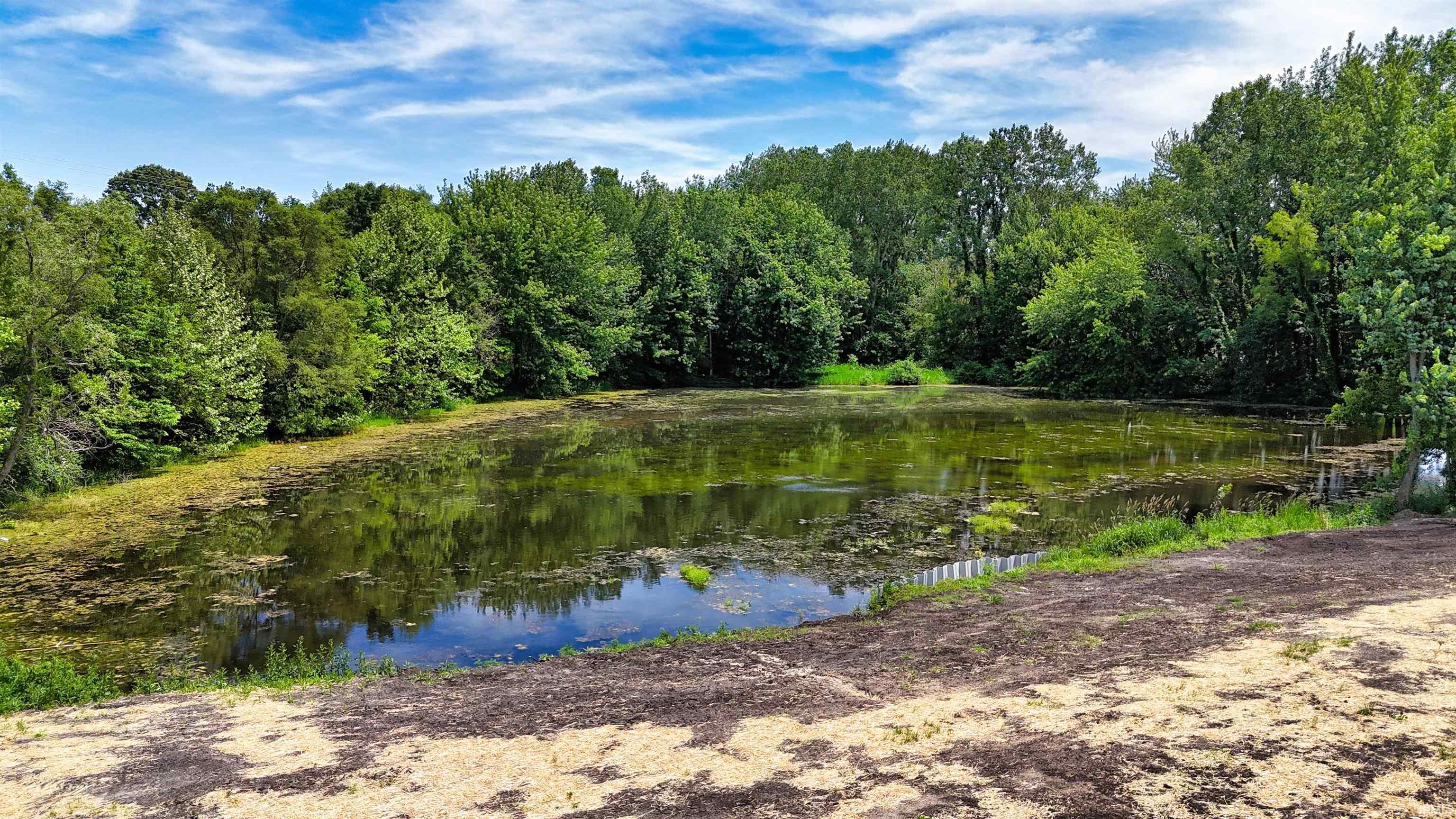 Natural pond surrounded by mature trees