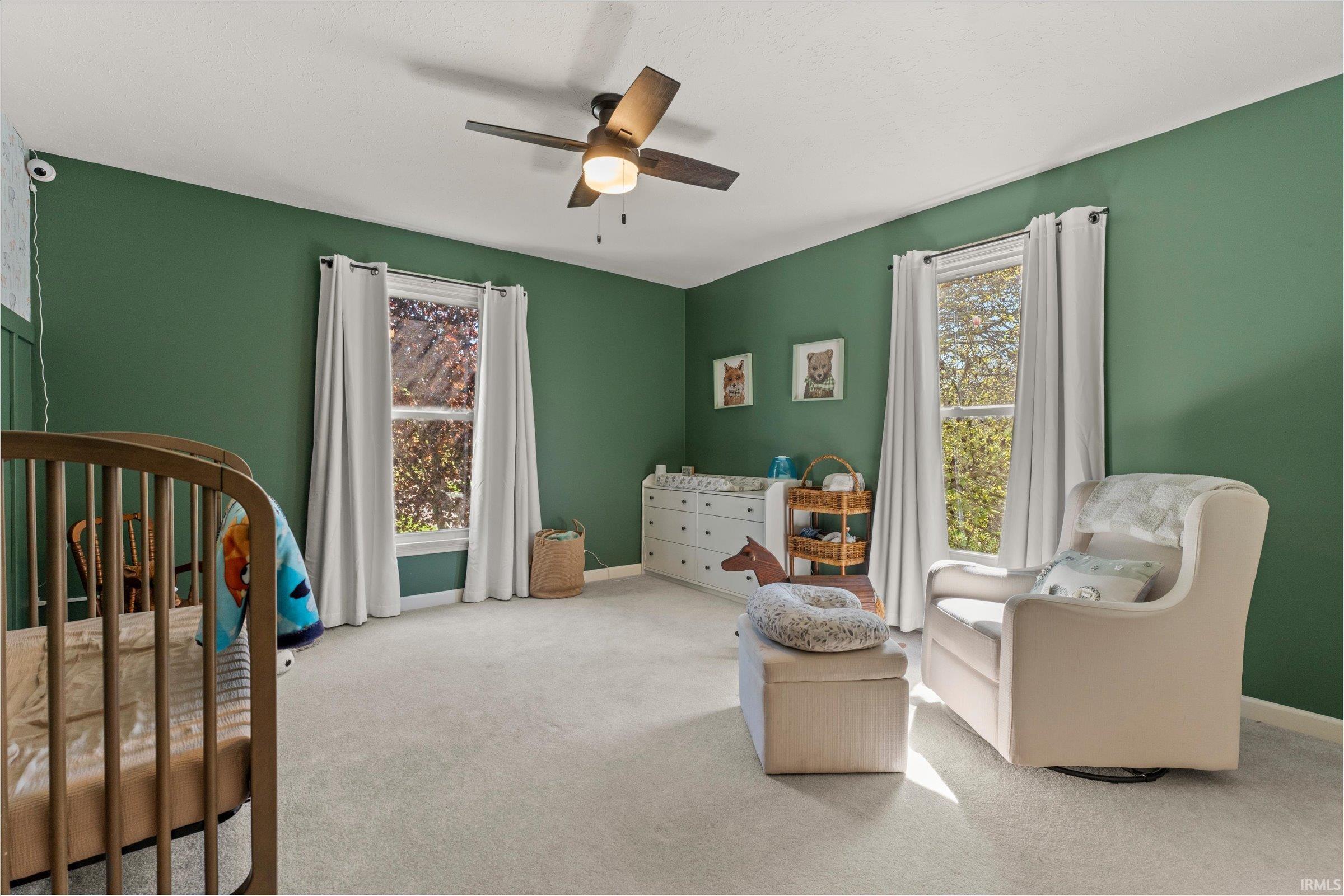 Spacious room featuring green walls, light-colored carpet flooring, a ceiling fan with integrated lighting, and two windows with white curtains