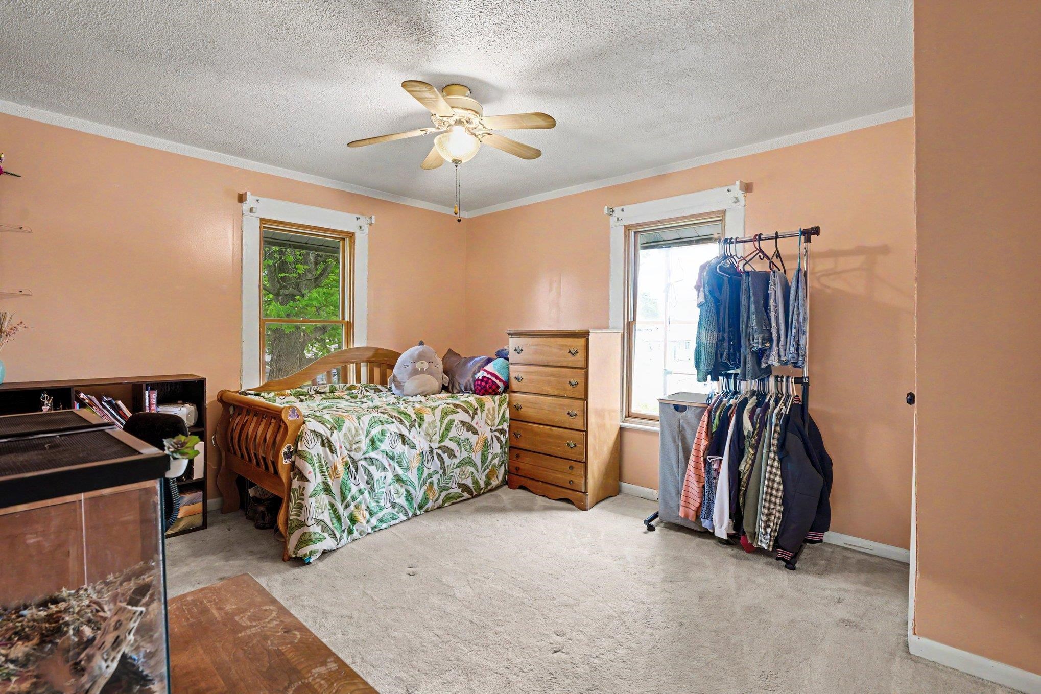 Carpeted room featuring multiple windows with white trim, a ceiling fan with light fixture, and peach-toned walls