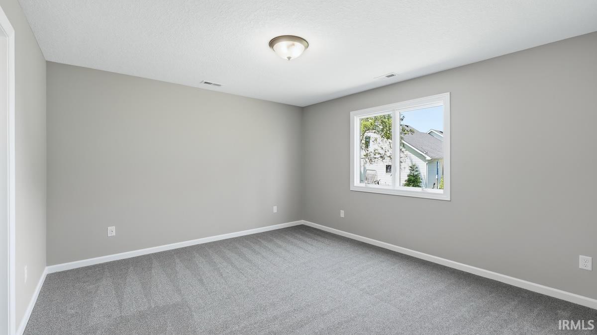Spacious room featuring neutral gray walls, plush gray carpeting, a single window, white trim, and a flush-mount ceiling light fixture