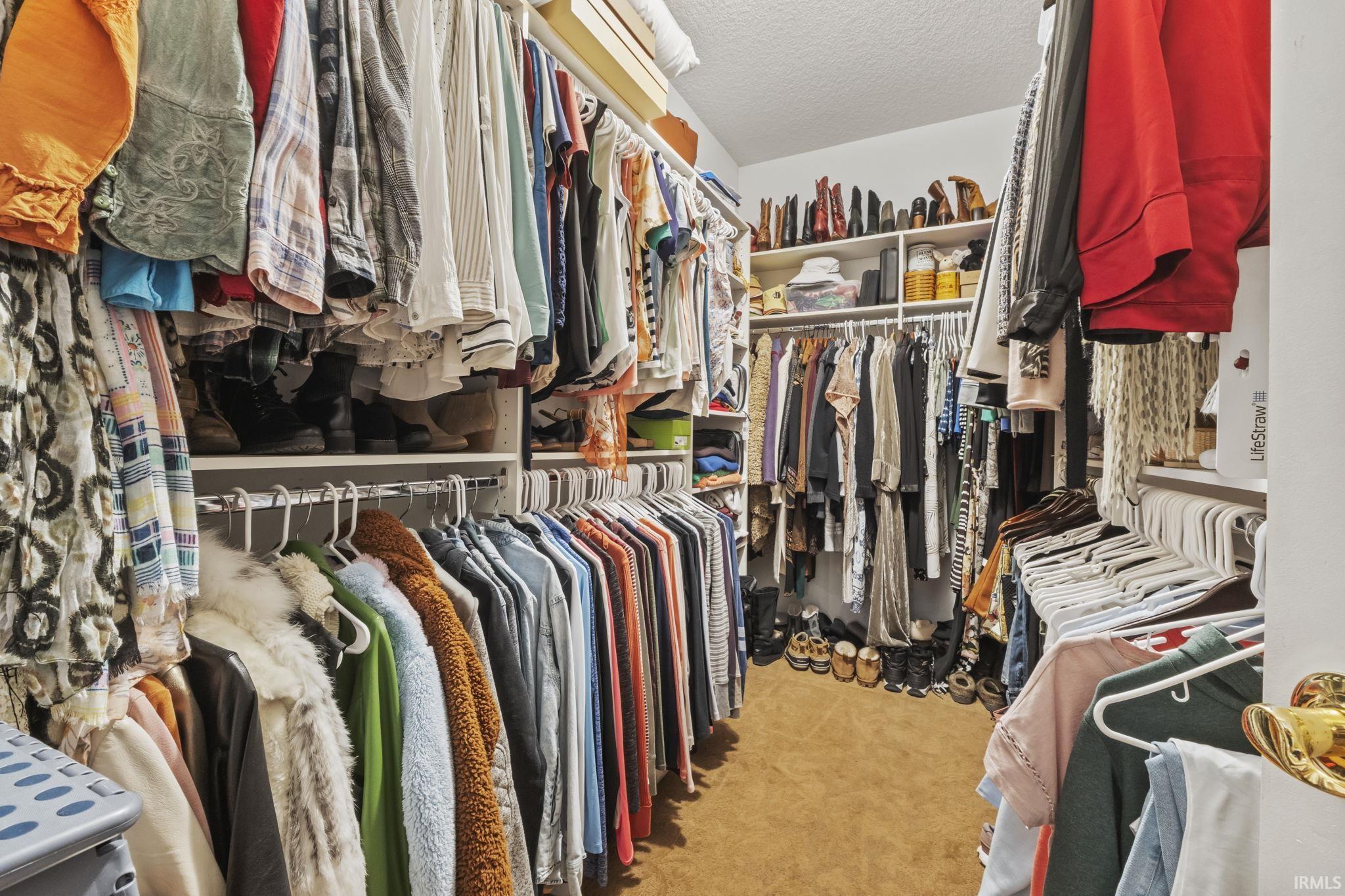 Walk-in closet featuring extensive built-in shelving, multiple hanging rods, and carpet flooring