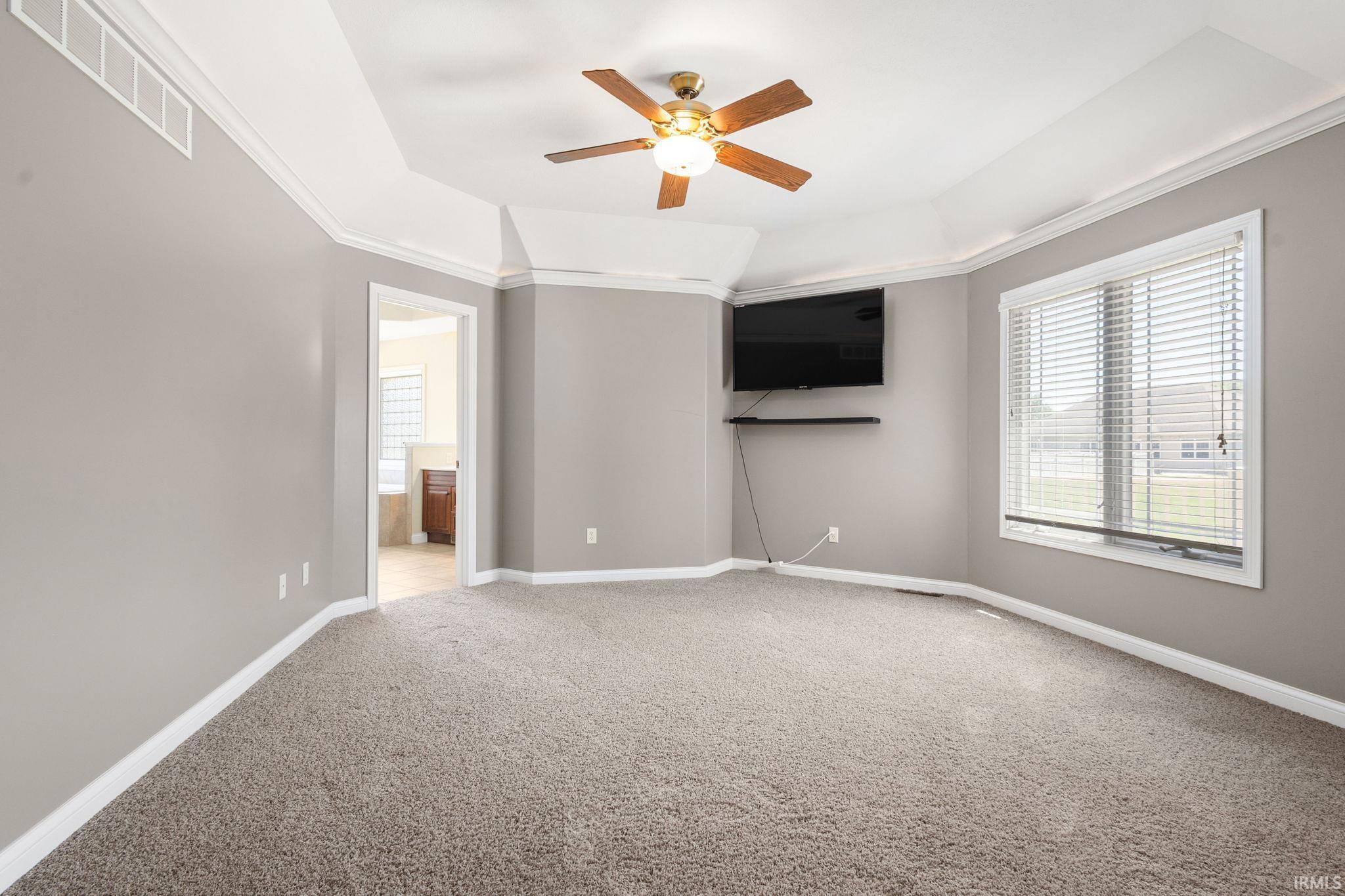 Carpeted room featuring a ceiling fan with light, tray ceiling, walk-in closet and a wall-mounted television stays