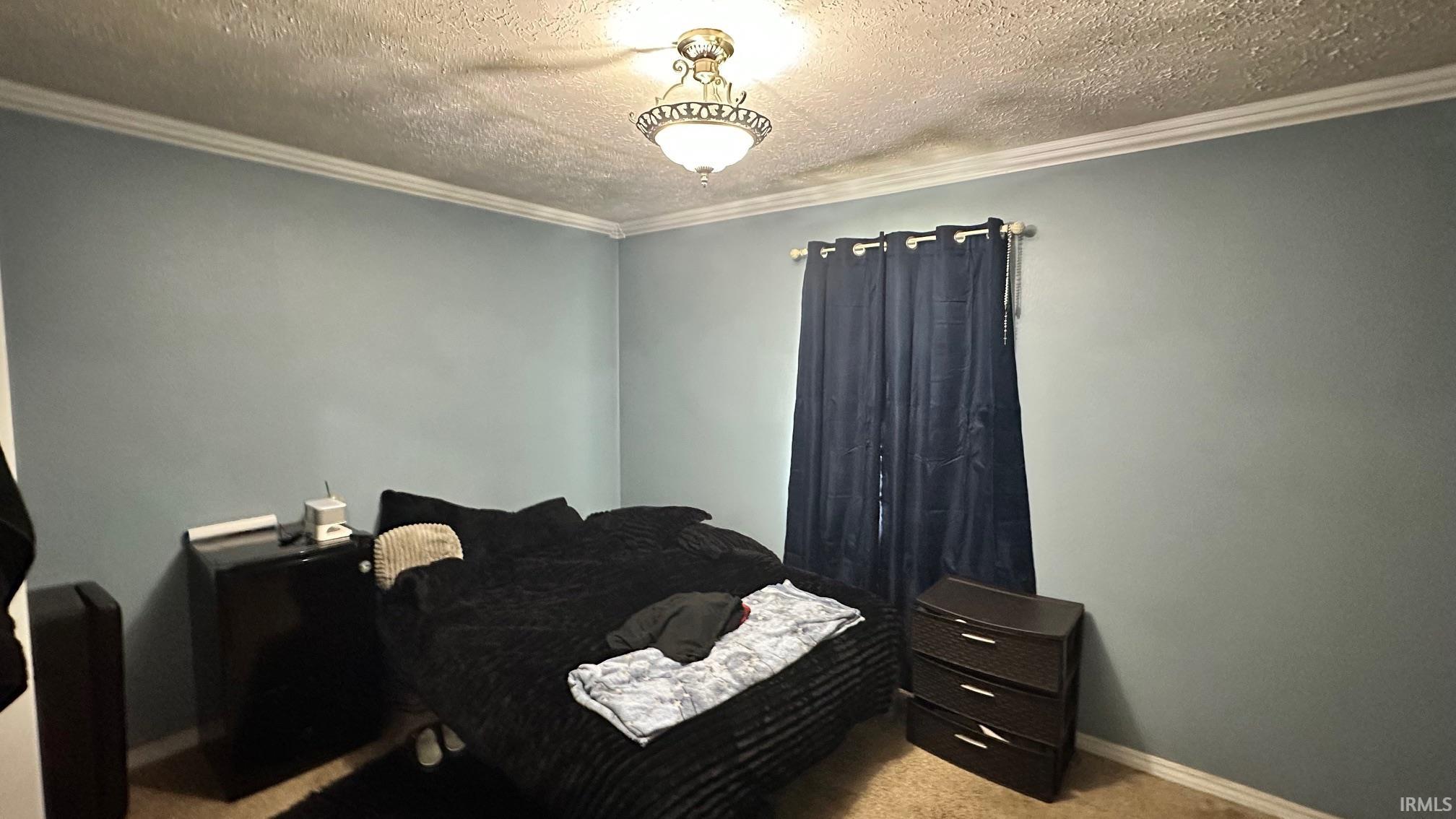 Light blue painted walls with crown molding, carpeted flooring, and a ceiling-mounted light fixture