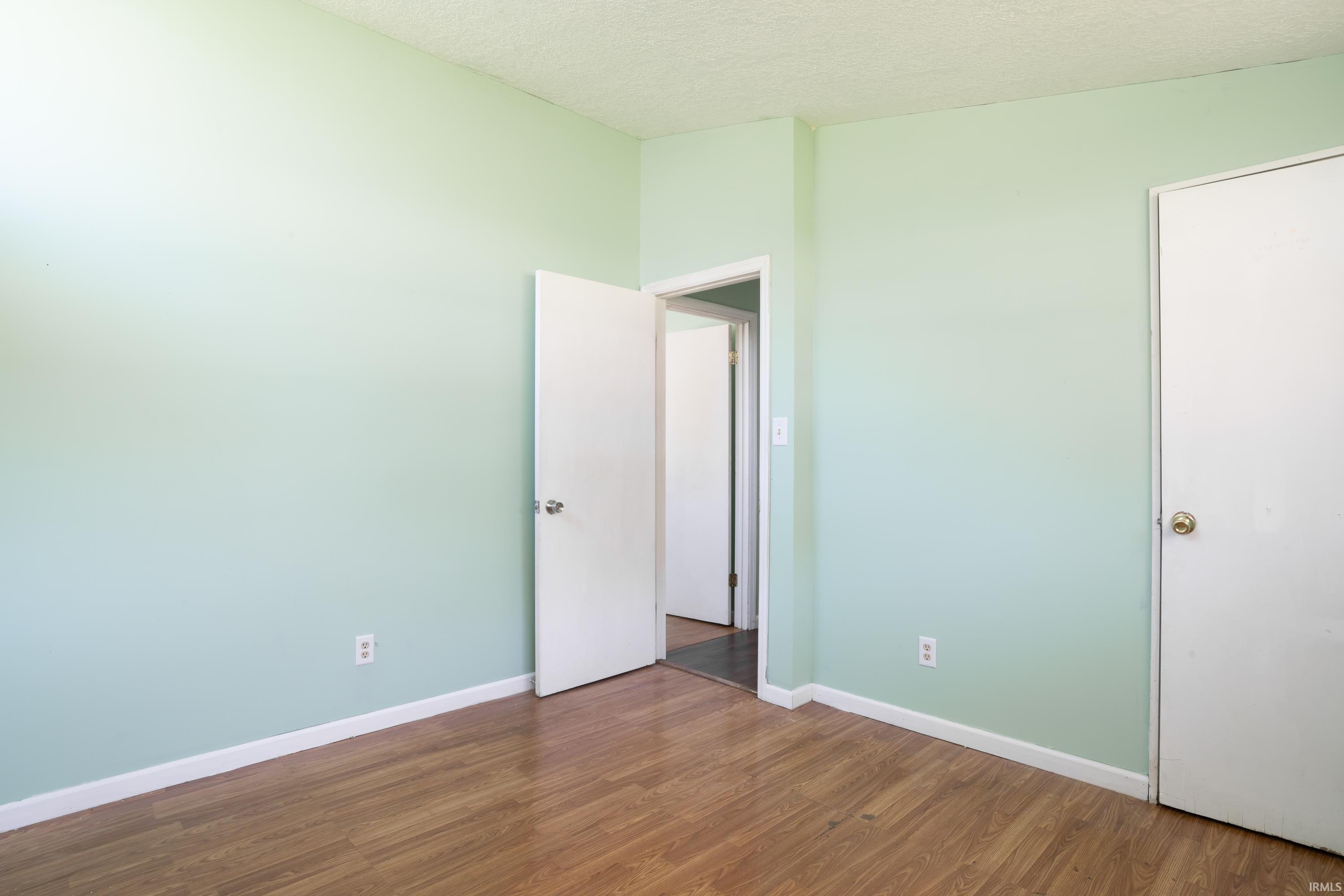 Spacious room featuring light green walls, wood-finish flooring, white baseboards, and two white doors