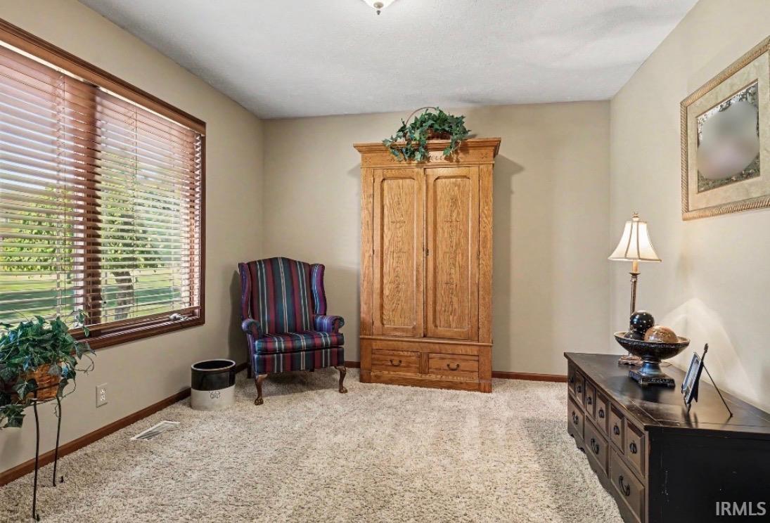 Plush carpeted flooring and neutral wall tones define this interior space, featuring a large window with wood-finish blinds and trim