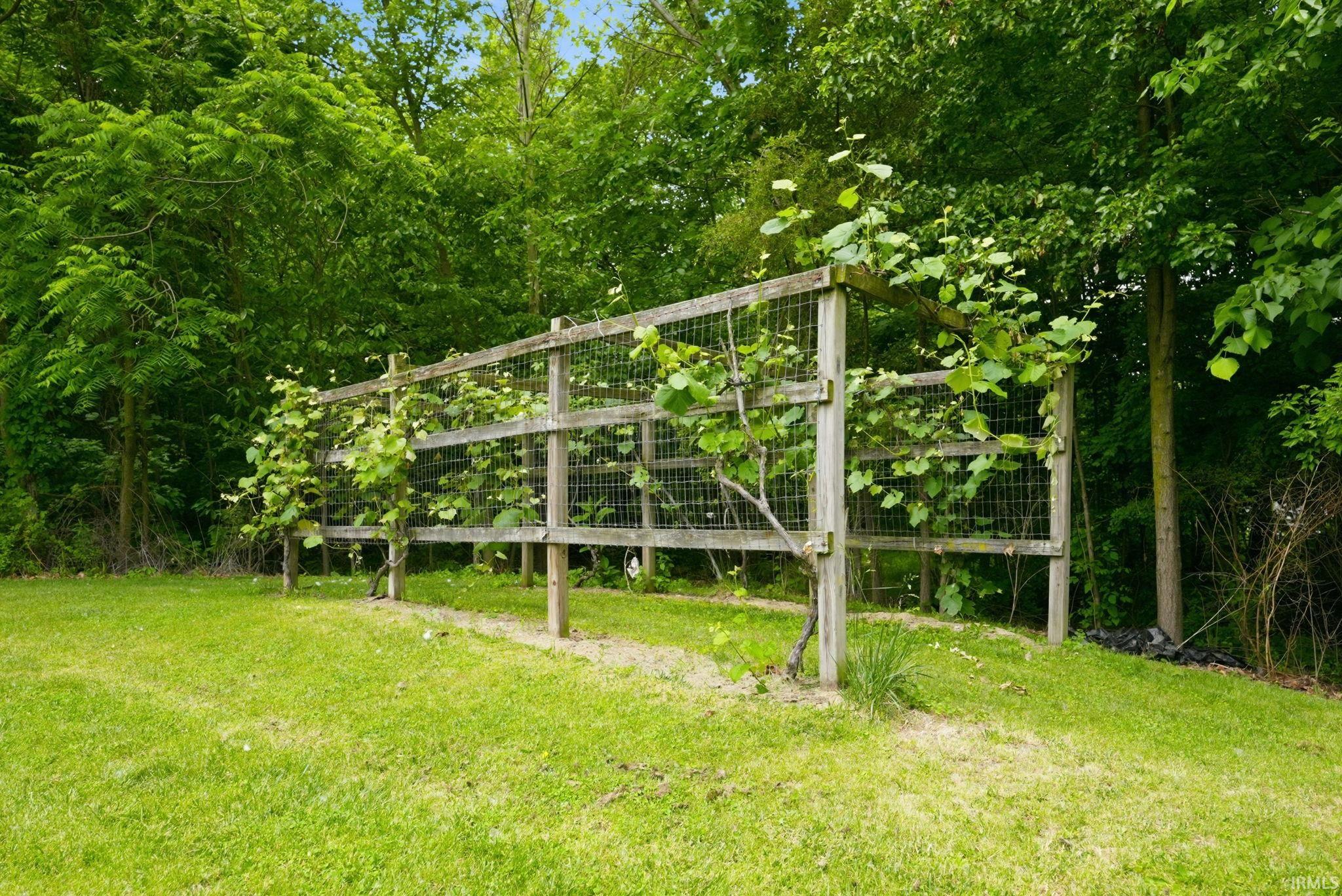 Expansive green lawn with a wooden trellis structure featuring established vines, set against a backdrop of mature trees
