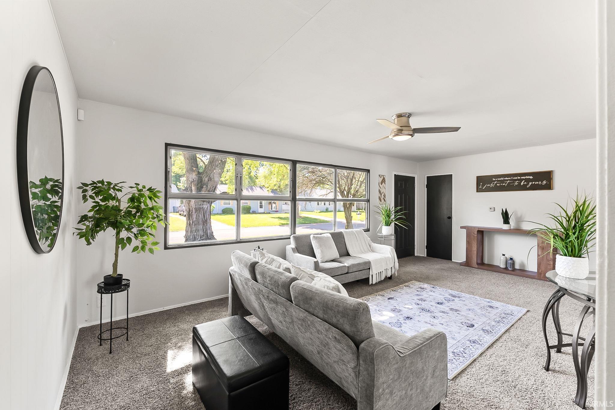 Spacious living area featuring expansive windows, neutral wall tones, textured carpeting, a contemporary ceiling fan, and dark paneled doors