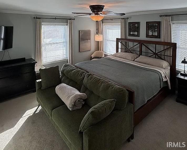 Carpeted bedroom featuring multiple windows with blinds and drapery, a ceiling fan with integrated lighting, and crown molding