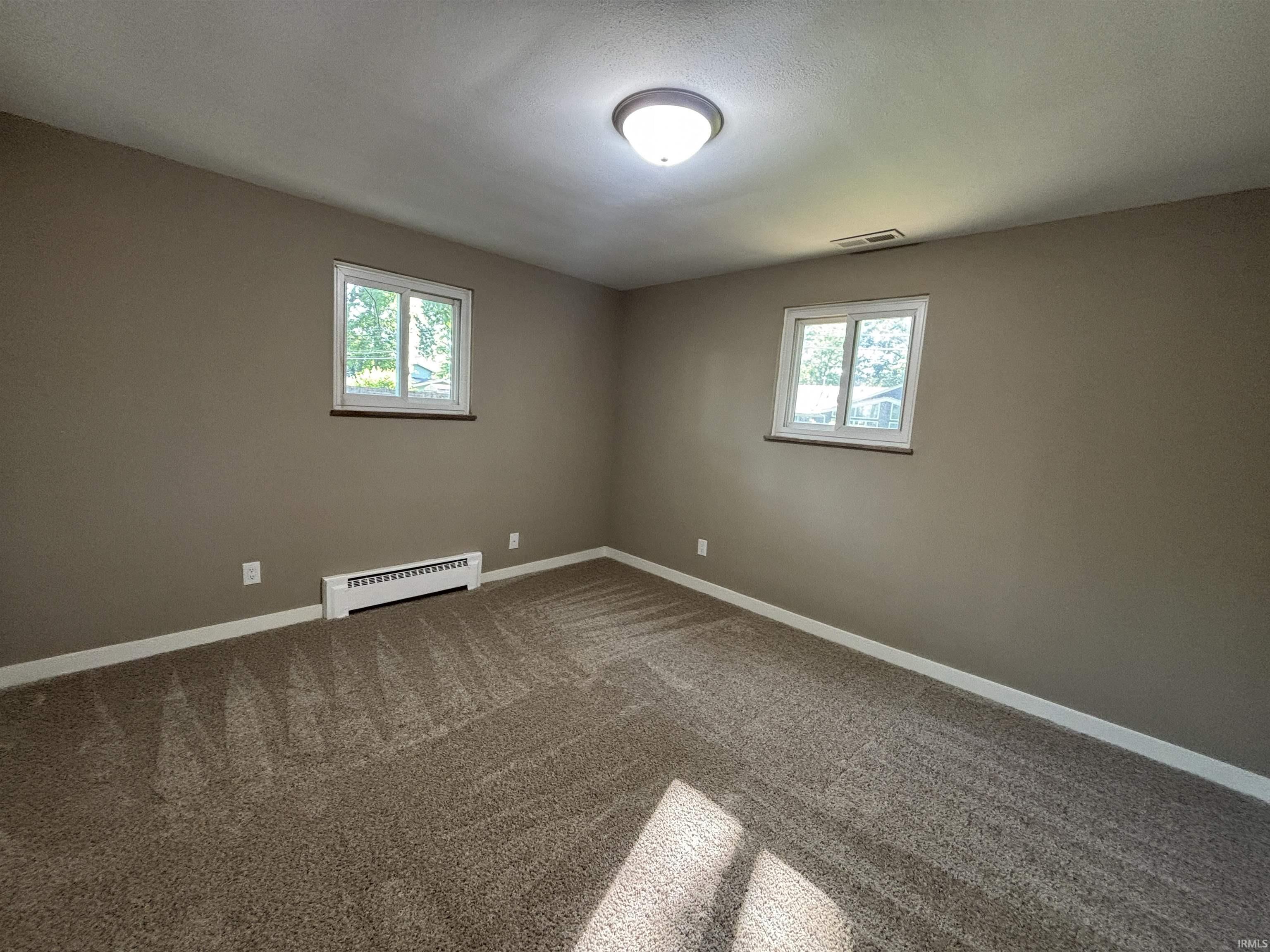 Carpeted interior space featuring two windows, neutral tone walls, and a ceiling-mounted light fixture