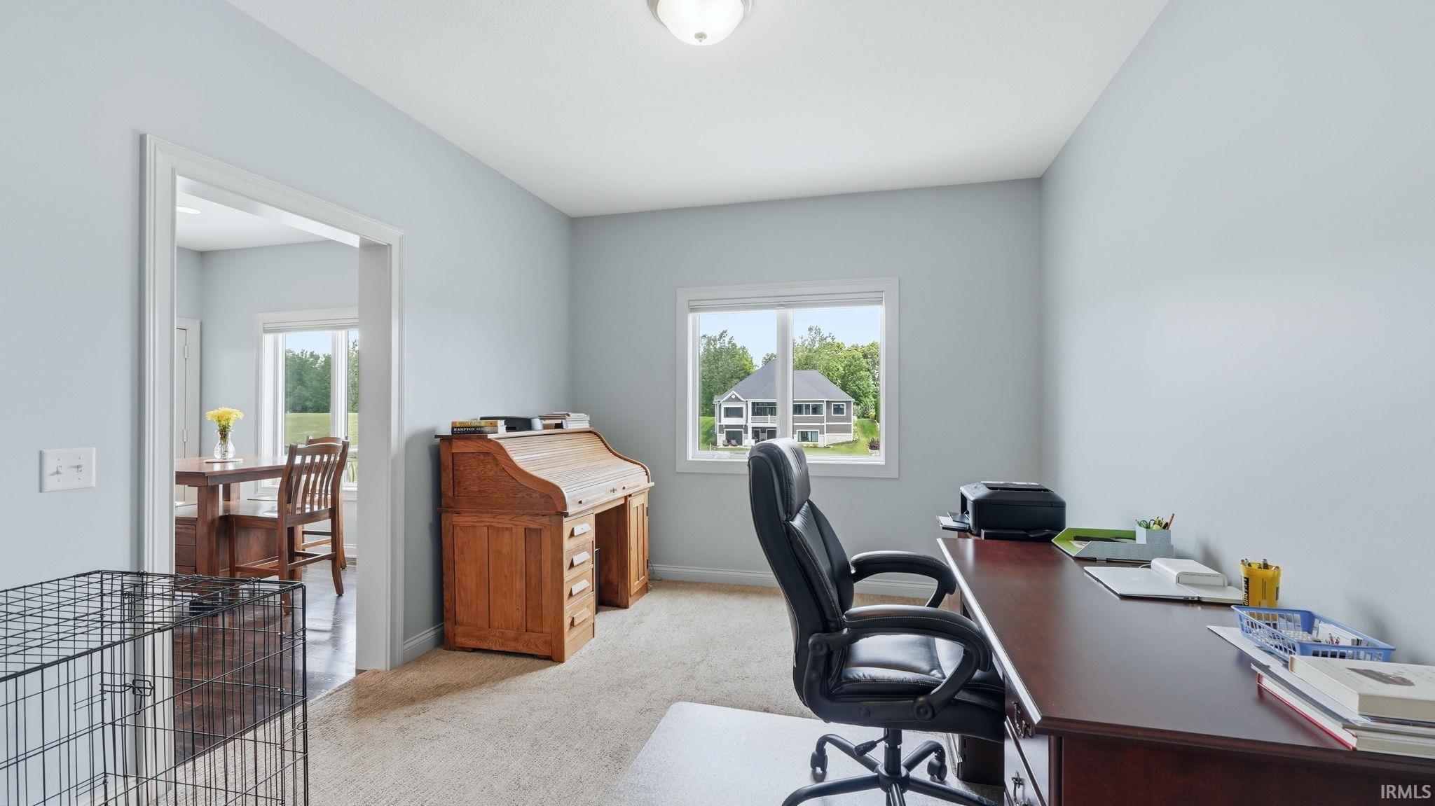 Carpeted room with light blue walls and a white ceiling