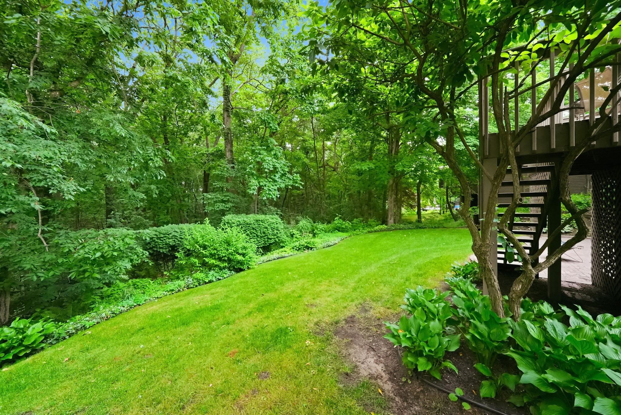 Expansive green lawn with mature trees and established perimeter shrubbery