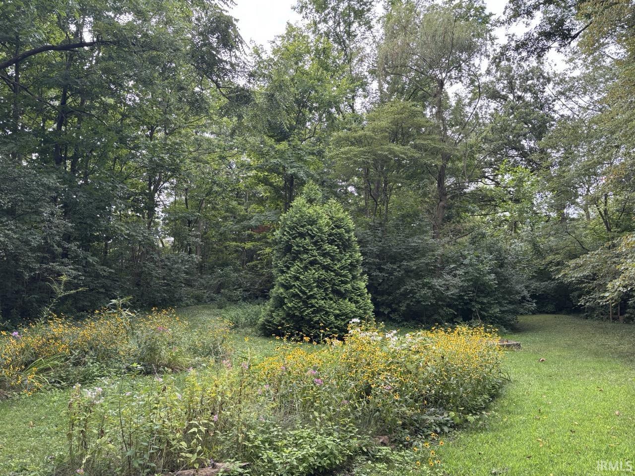 Expansive grounds featuring a manicured lawn area, mature trees providing natural screening, and established garden beds with varied plantings