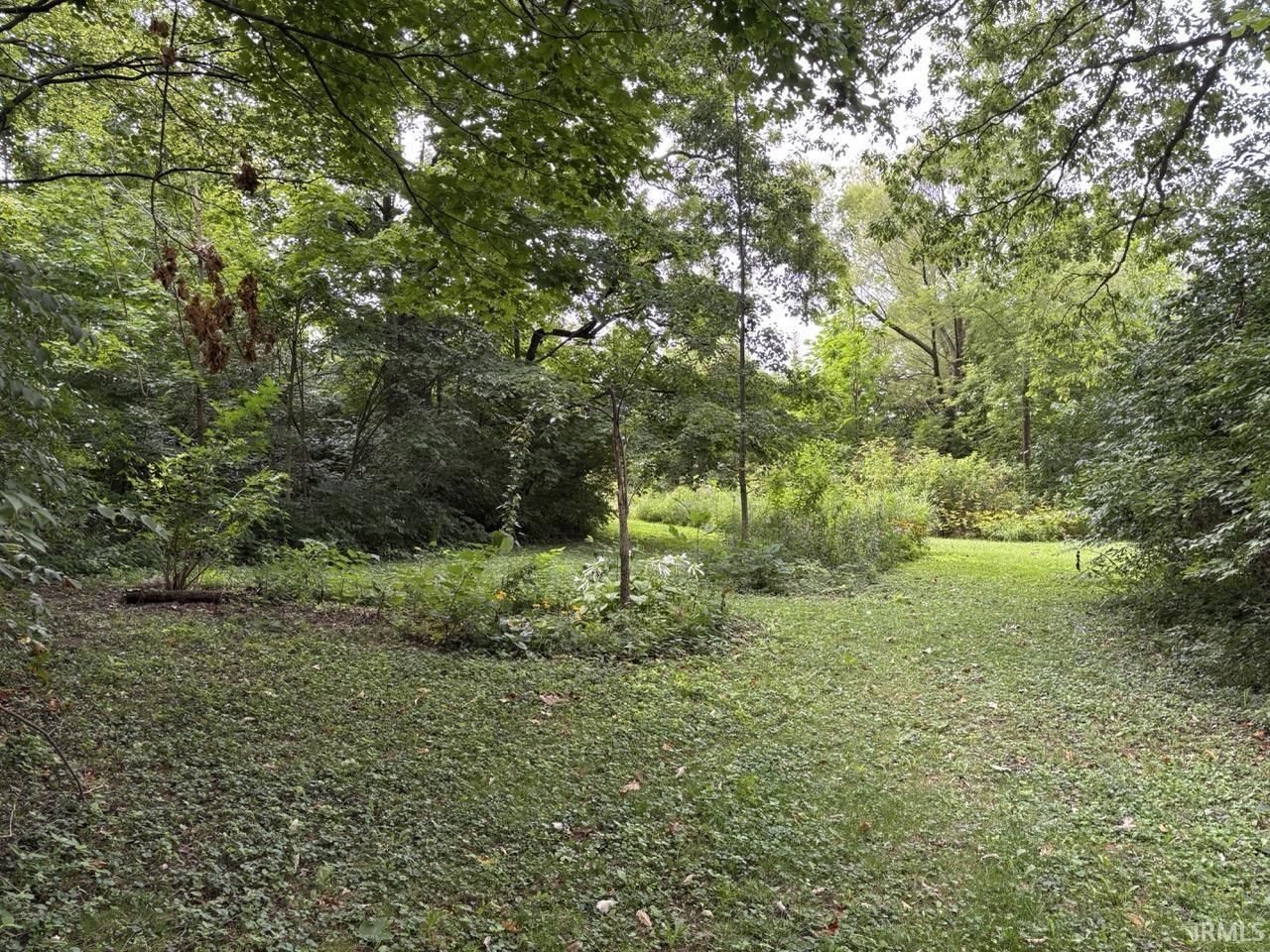 Expansive green space featuring a natural landscape and mature trees