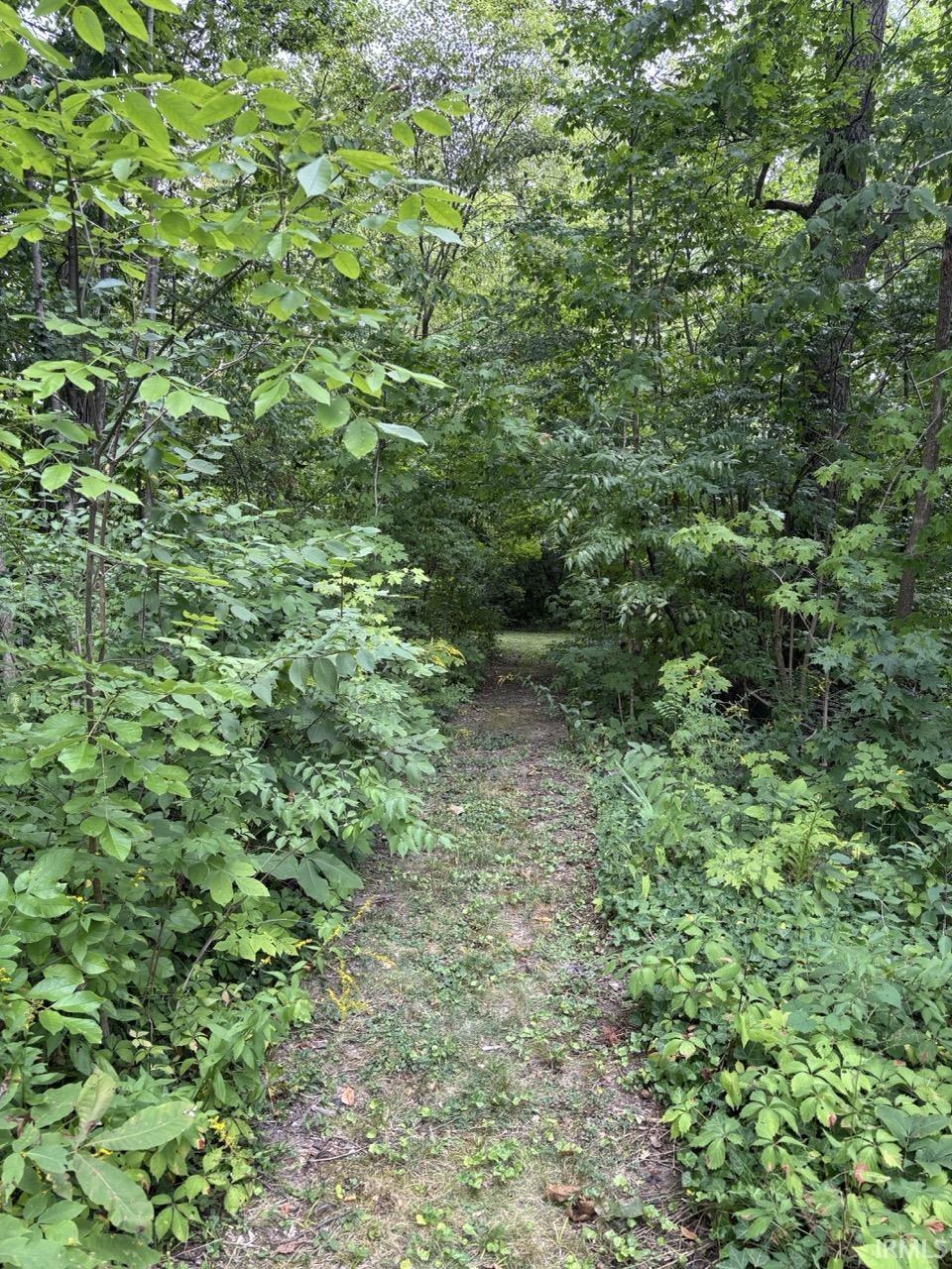 Wooded lot featuring a natural path and abundant foliage