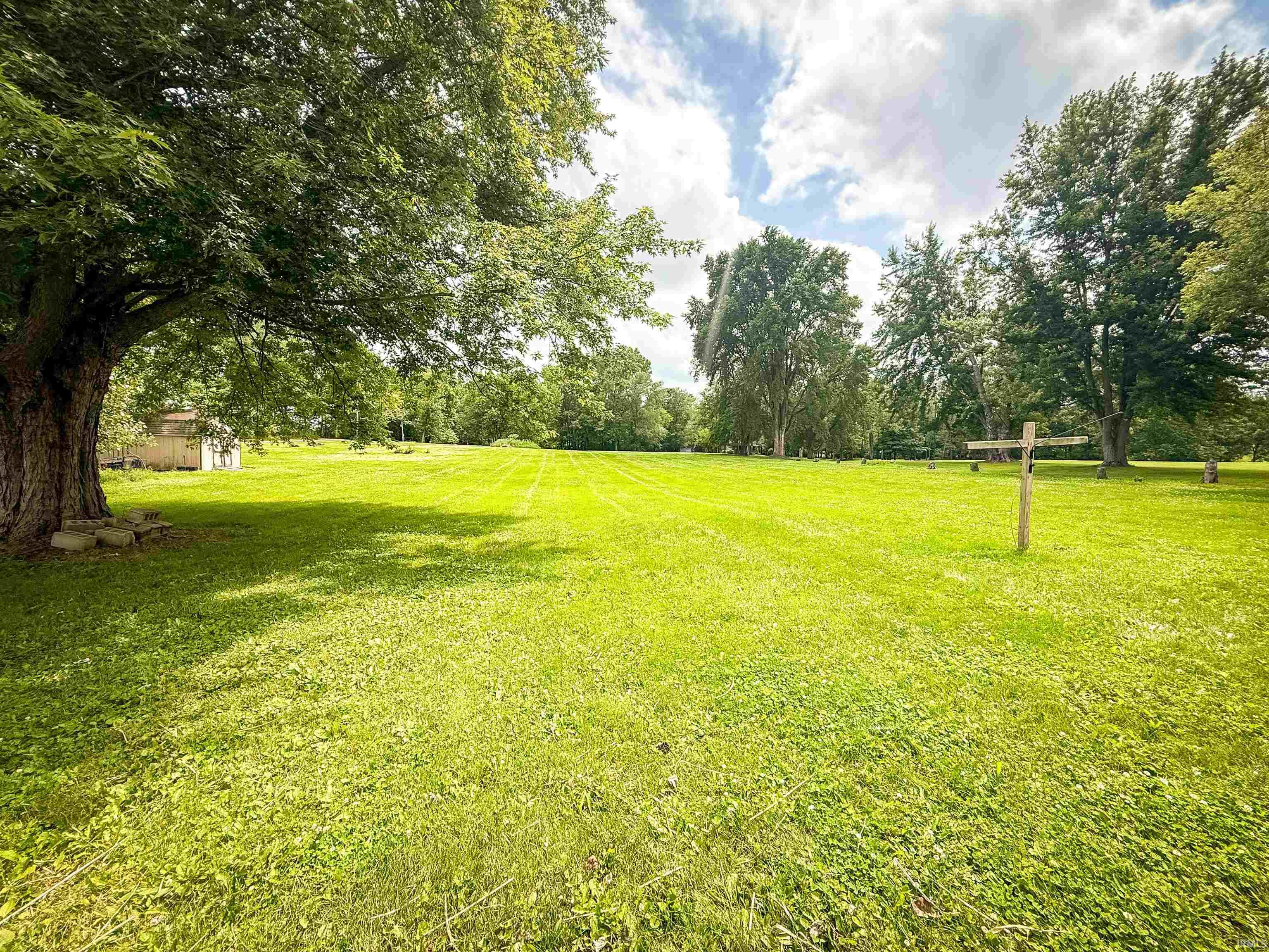 Expansive green space featuring a large mature tree, open grassy areas, and distant tree lines