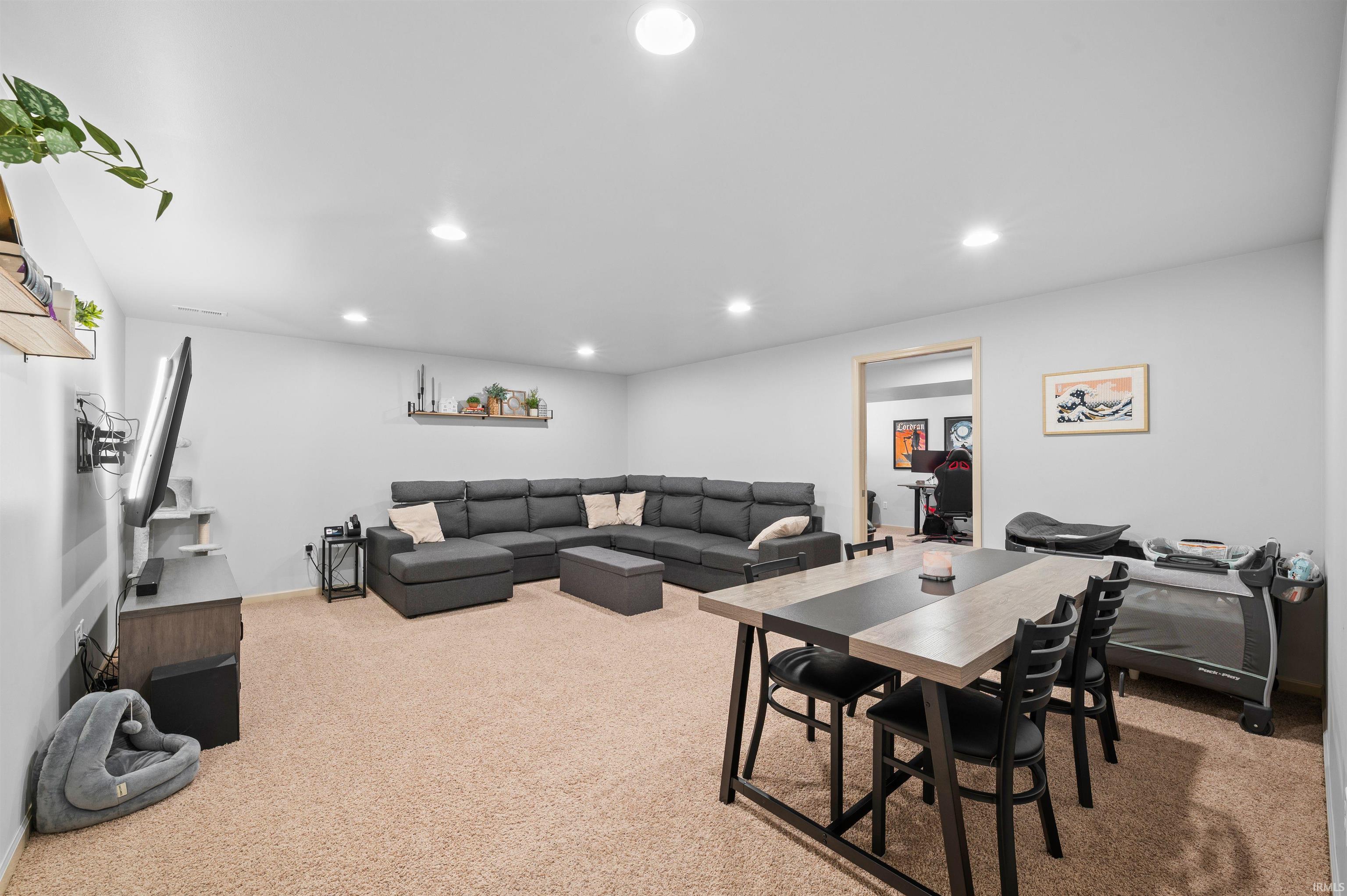 Lower level rec room
