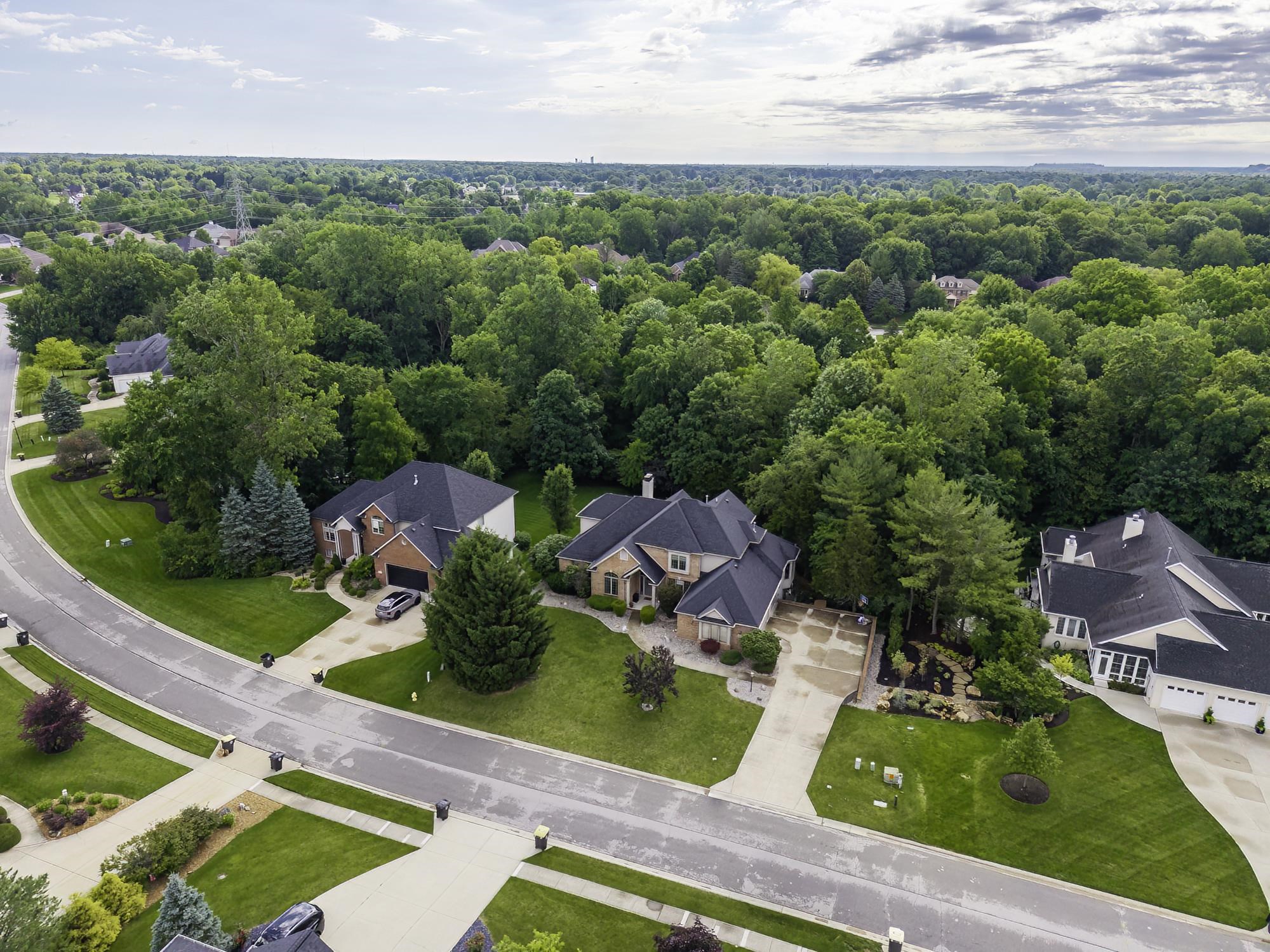 Aerial perspective showcasing a residential street with mature trees and landscaped properties