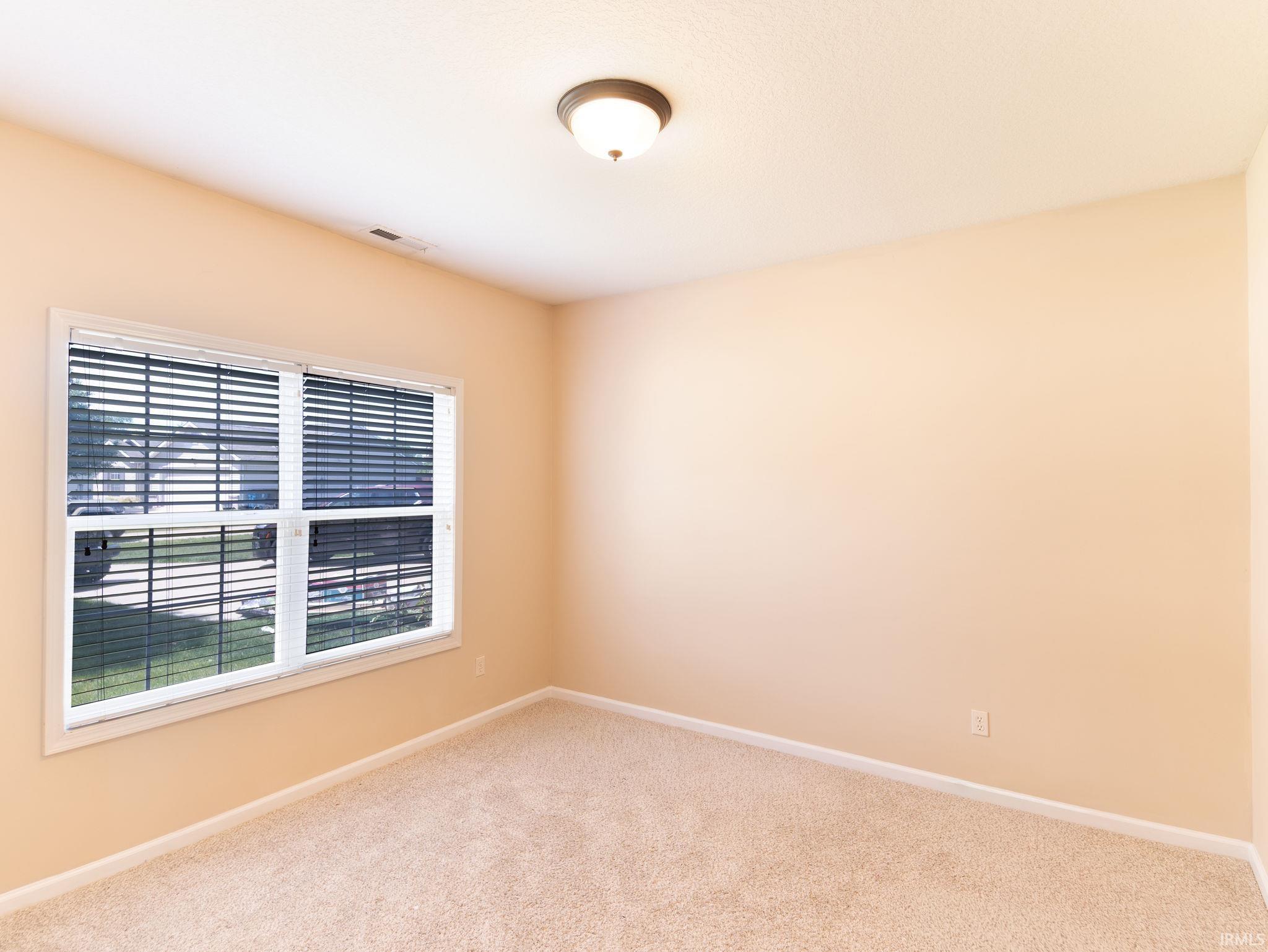 Carpeted room with a double-pane window featuring white blinds, neutral-toned walls, and a ceiling-mounted light fixture